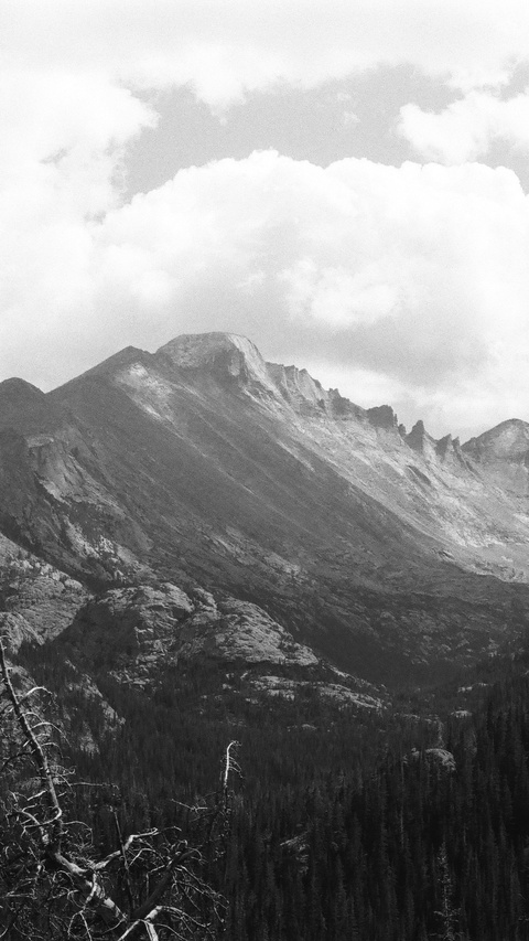 Black and White Mountain Landscape