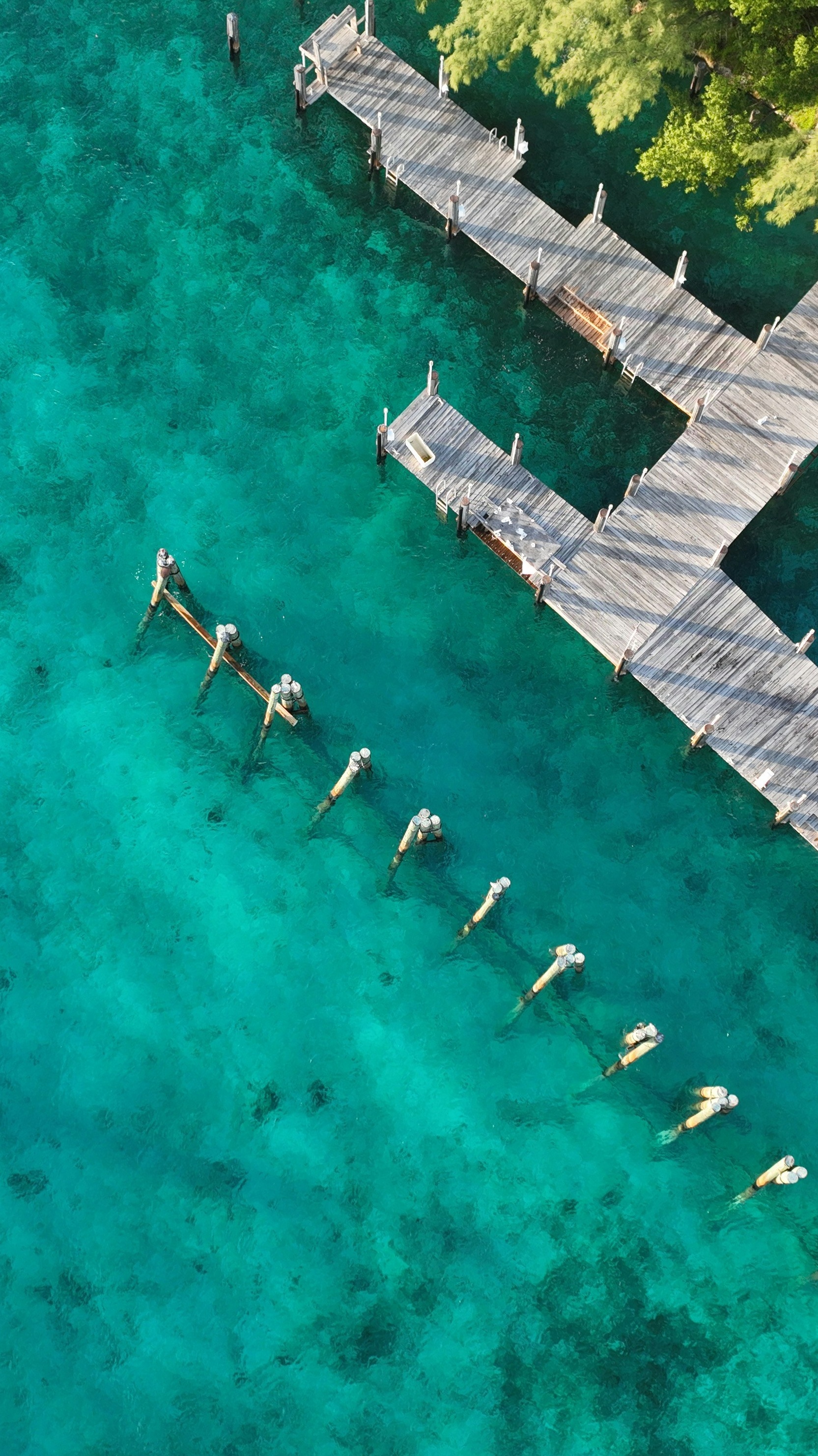 Wallpapers