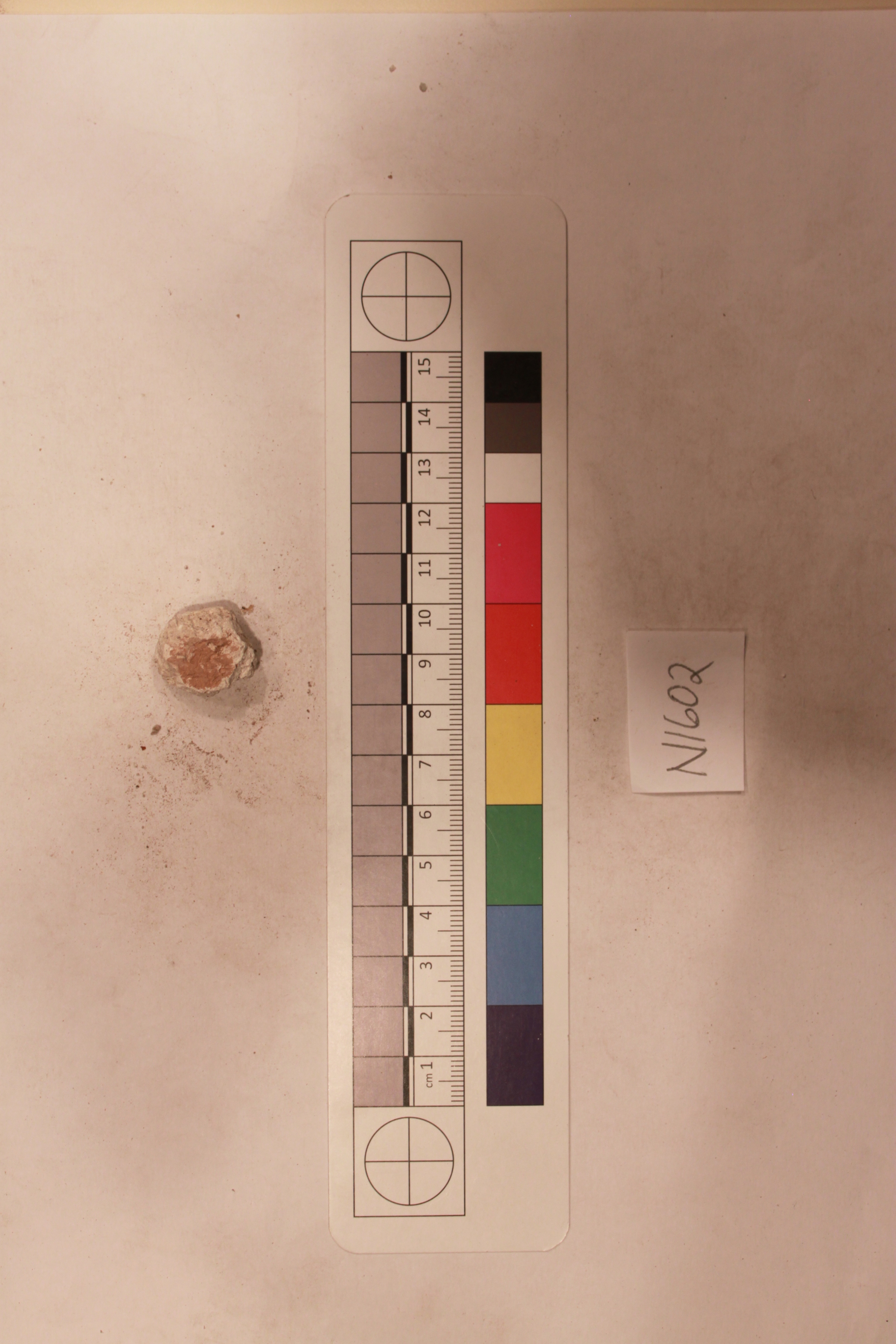 Archaeological Specimen Record Photo