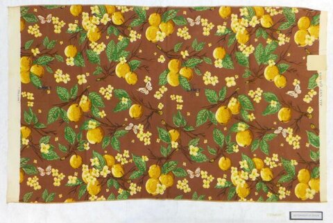 Vintage Orange Fruit Print Textile