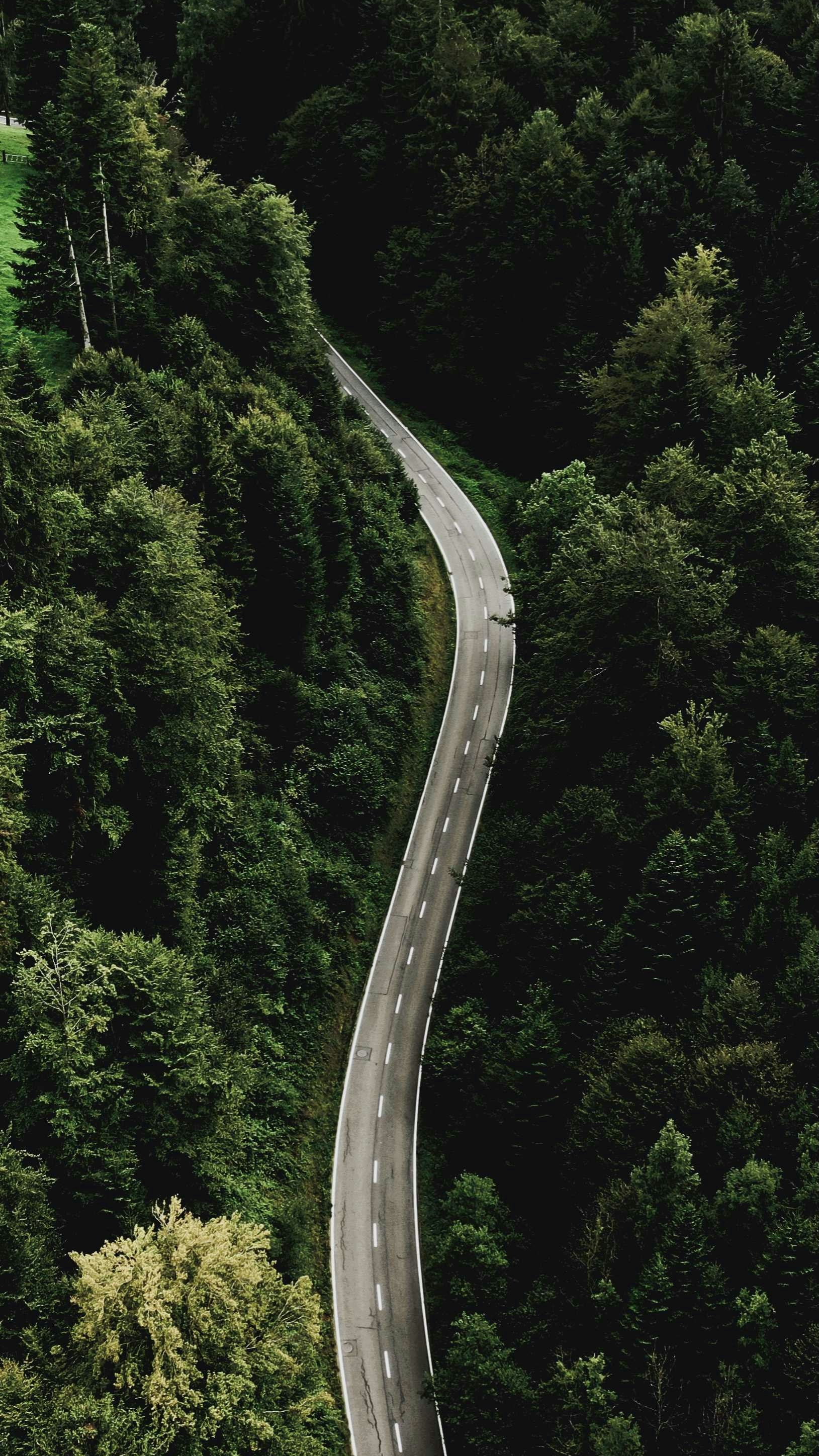 Wallpapers