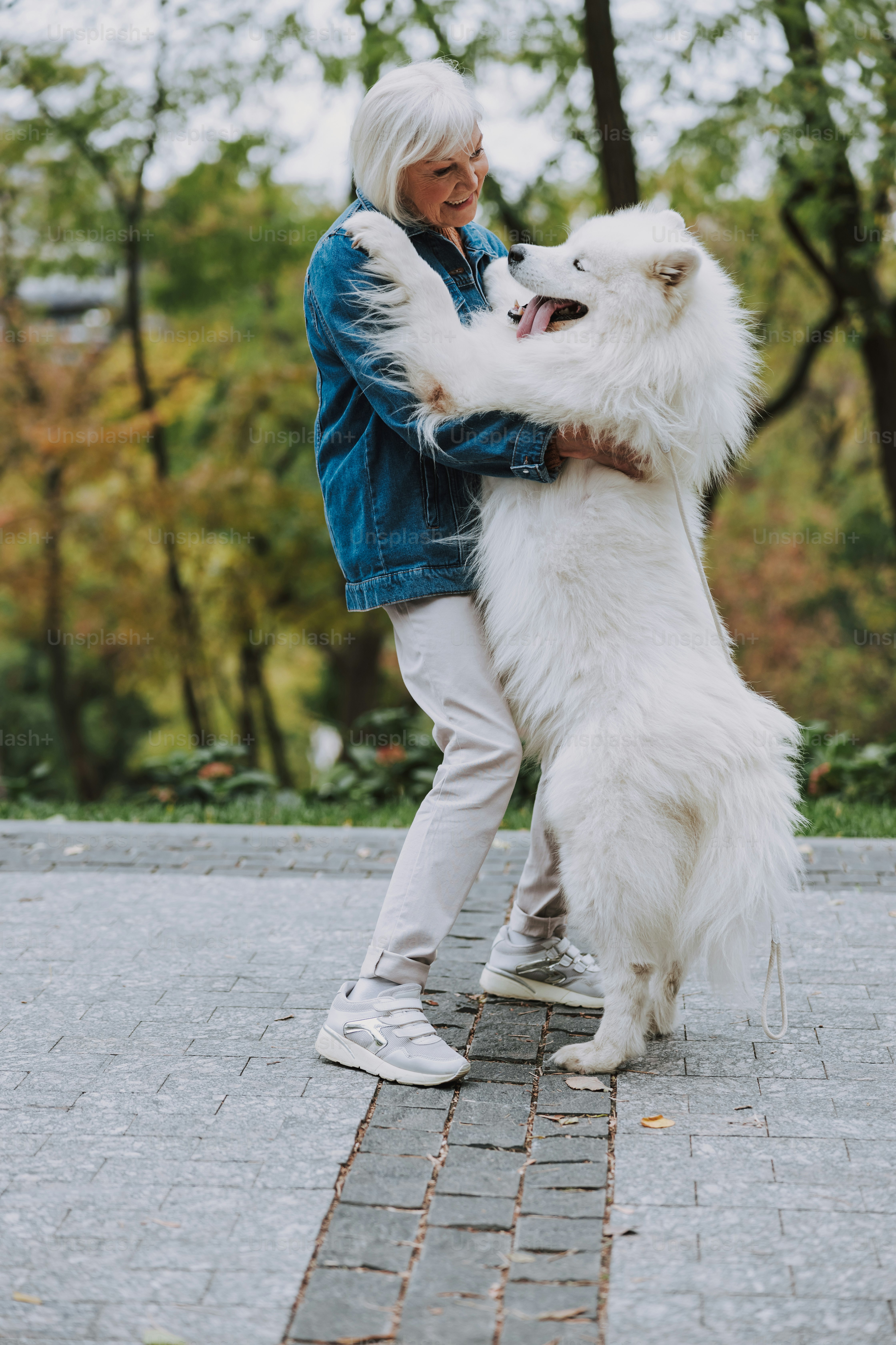 Senior Woman Hugging Her Samoyed In Park