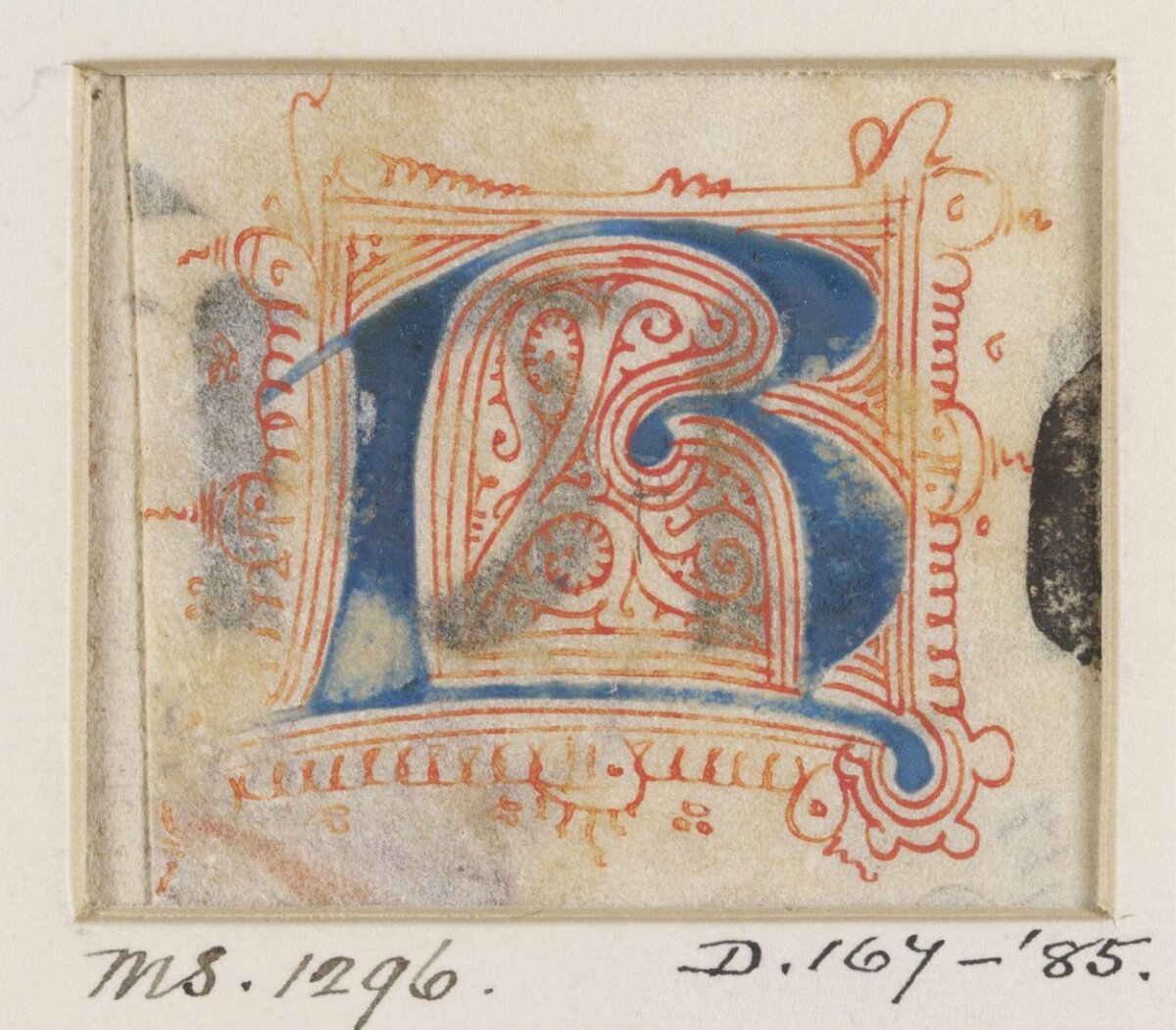 Medieval Illuminated Initial B