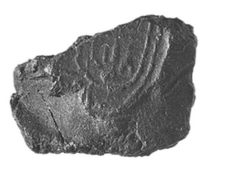 Piece of Bituminous Coal