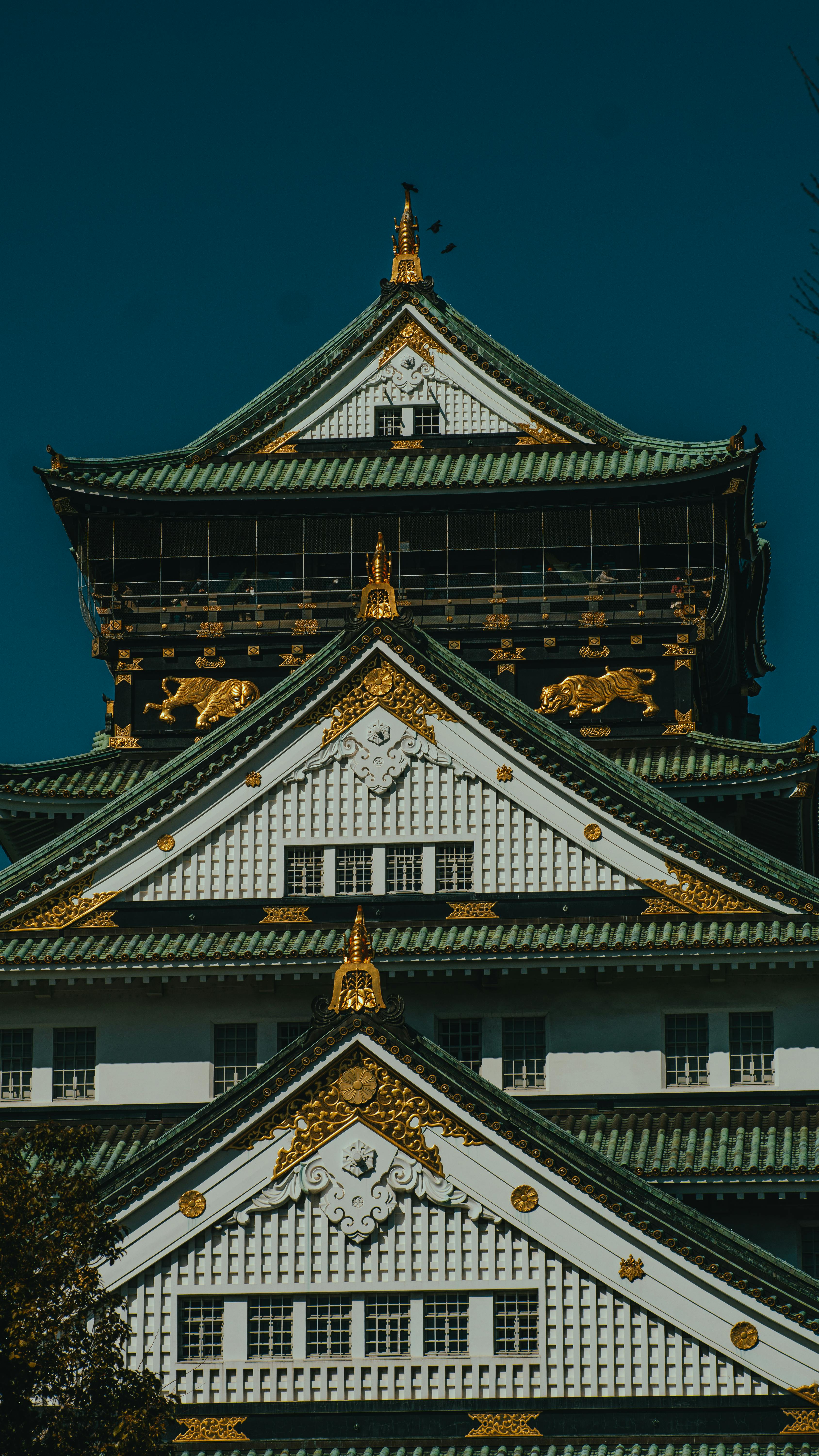 Wallpapers