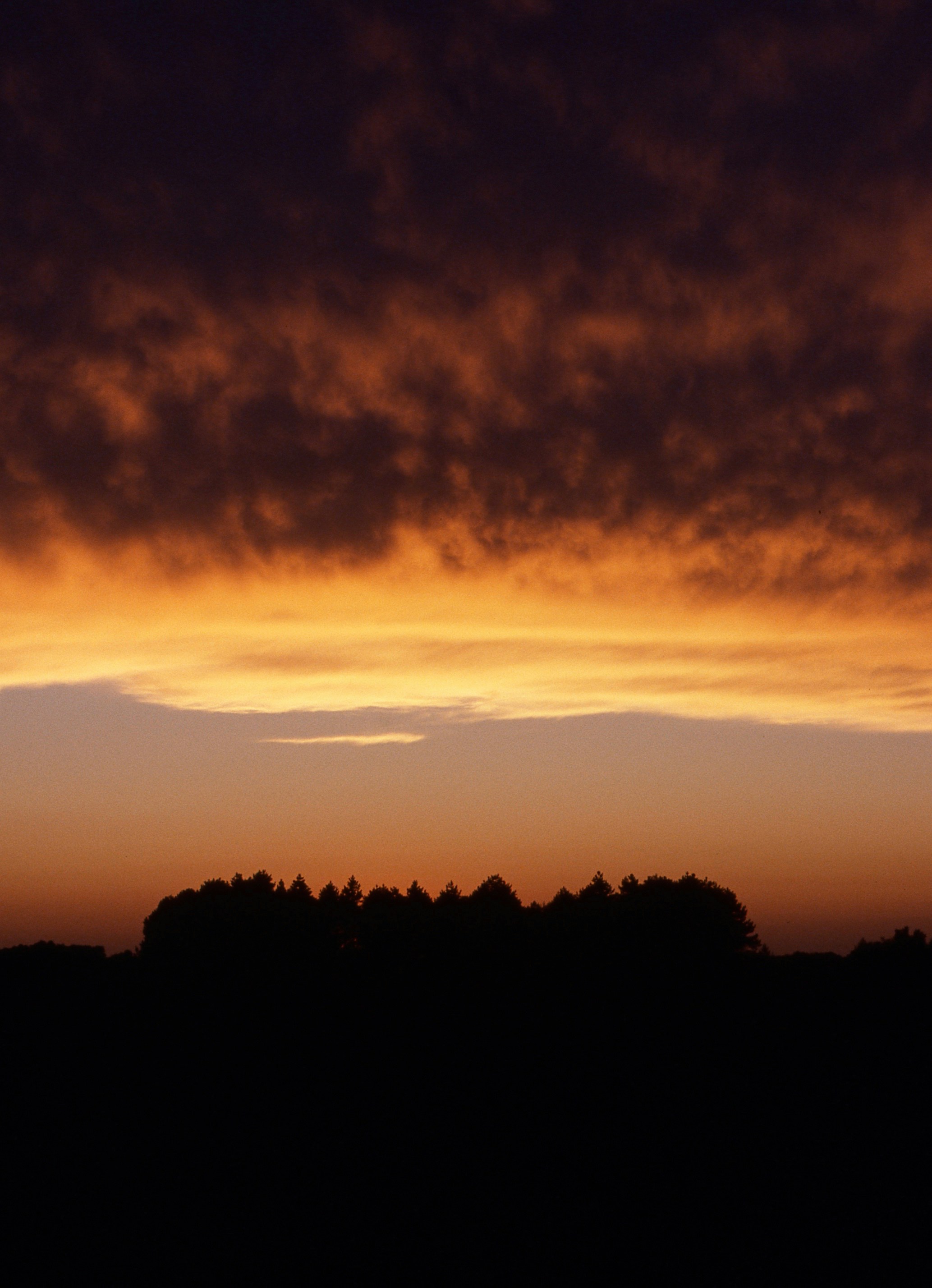 Sunset Sky Over Treeline