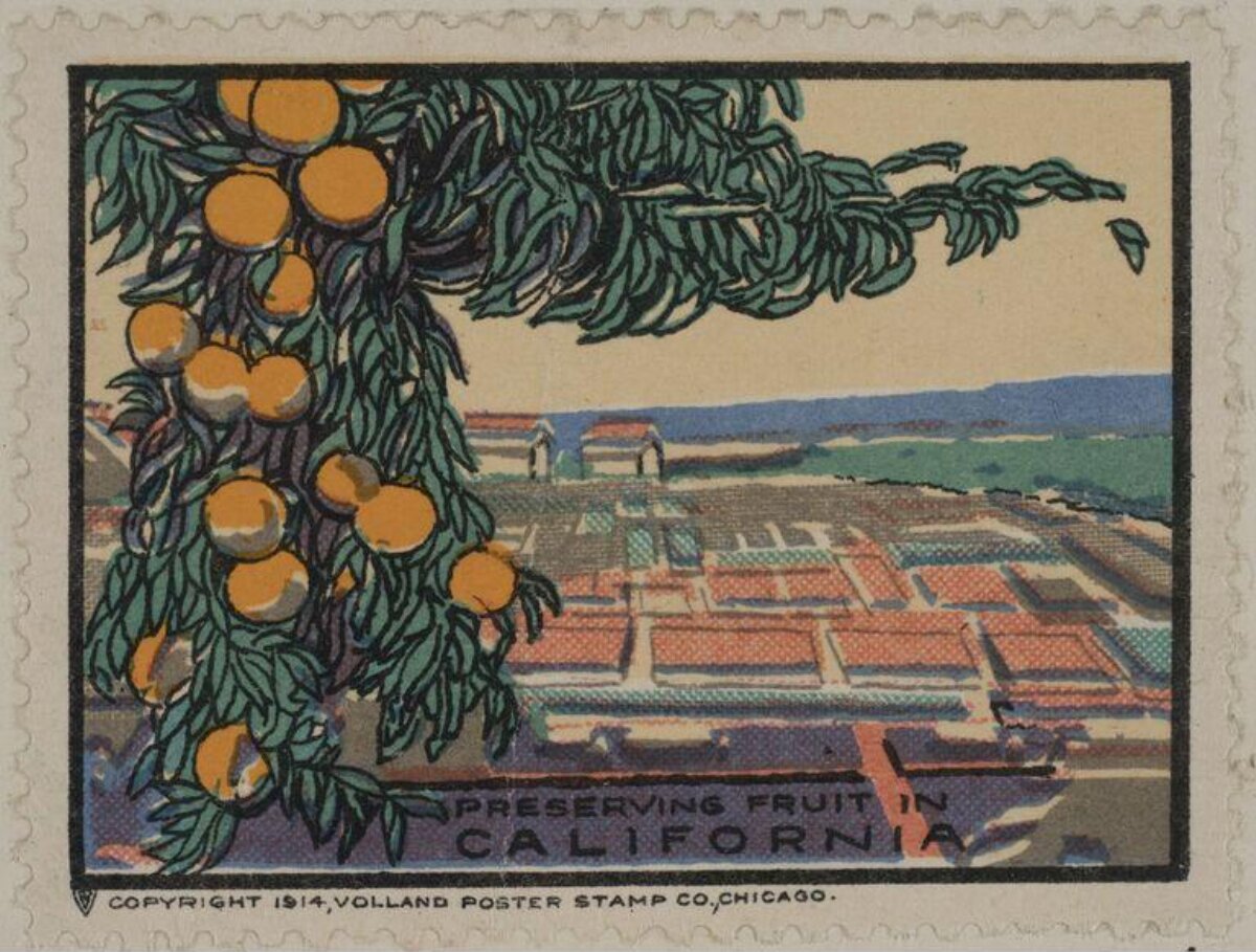 Preserving Fruit in California Poster Stamp