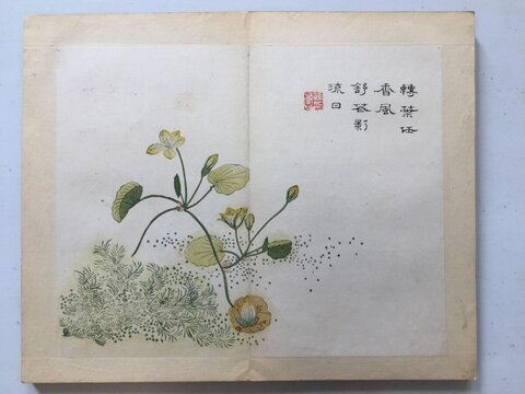 Traditional Chinese Flower Painting