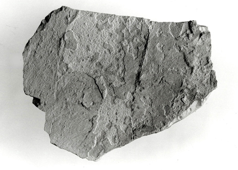 Broken Rock Specimen