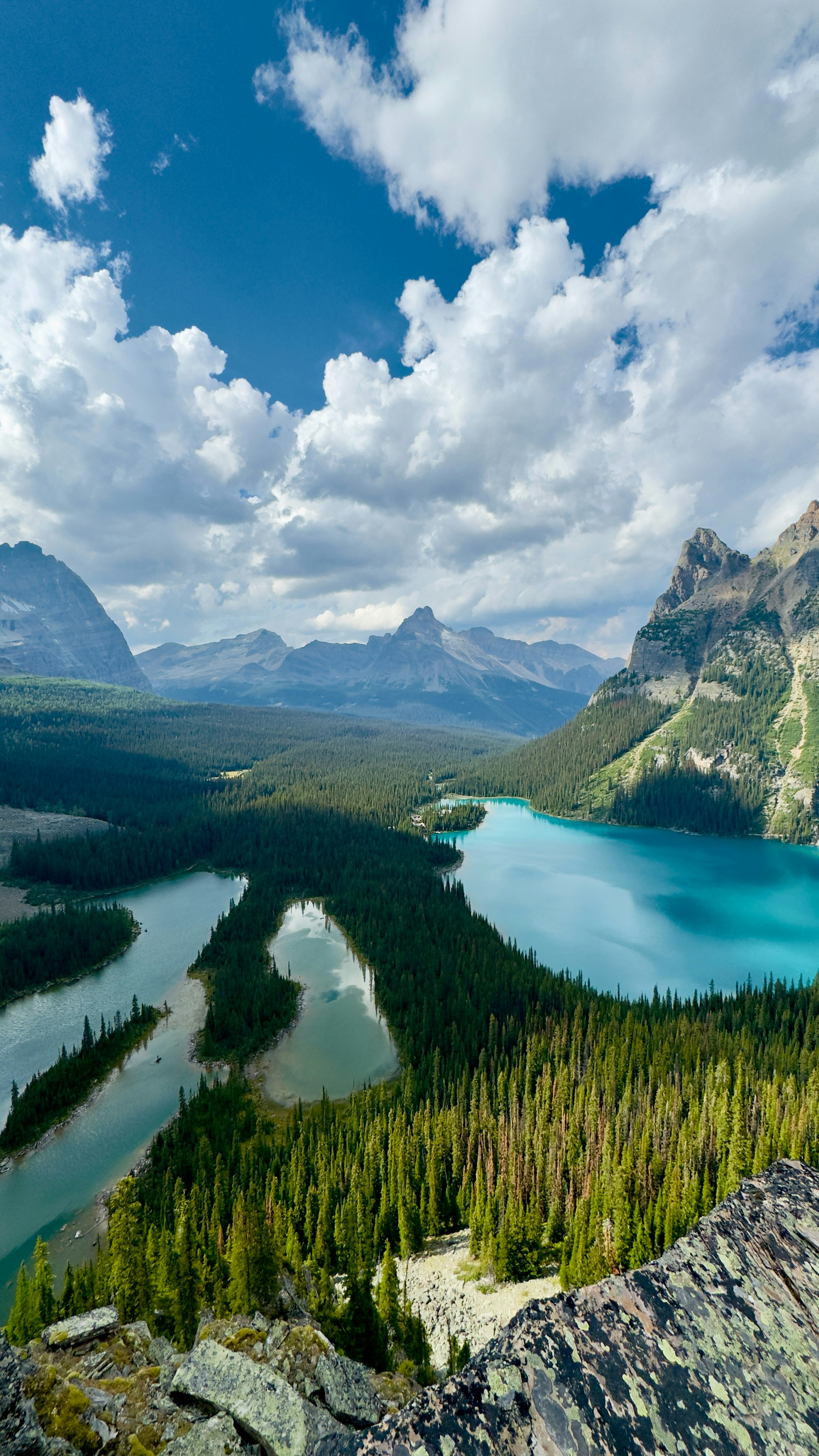 Landscapes