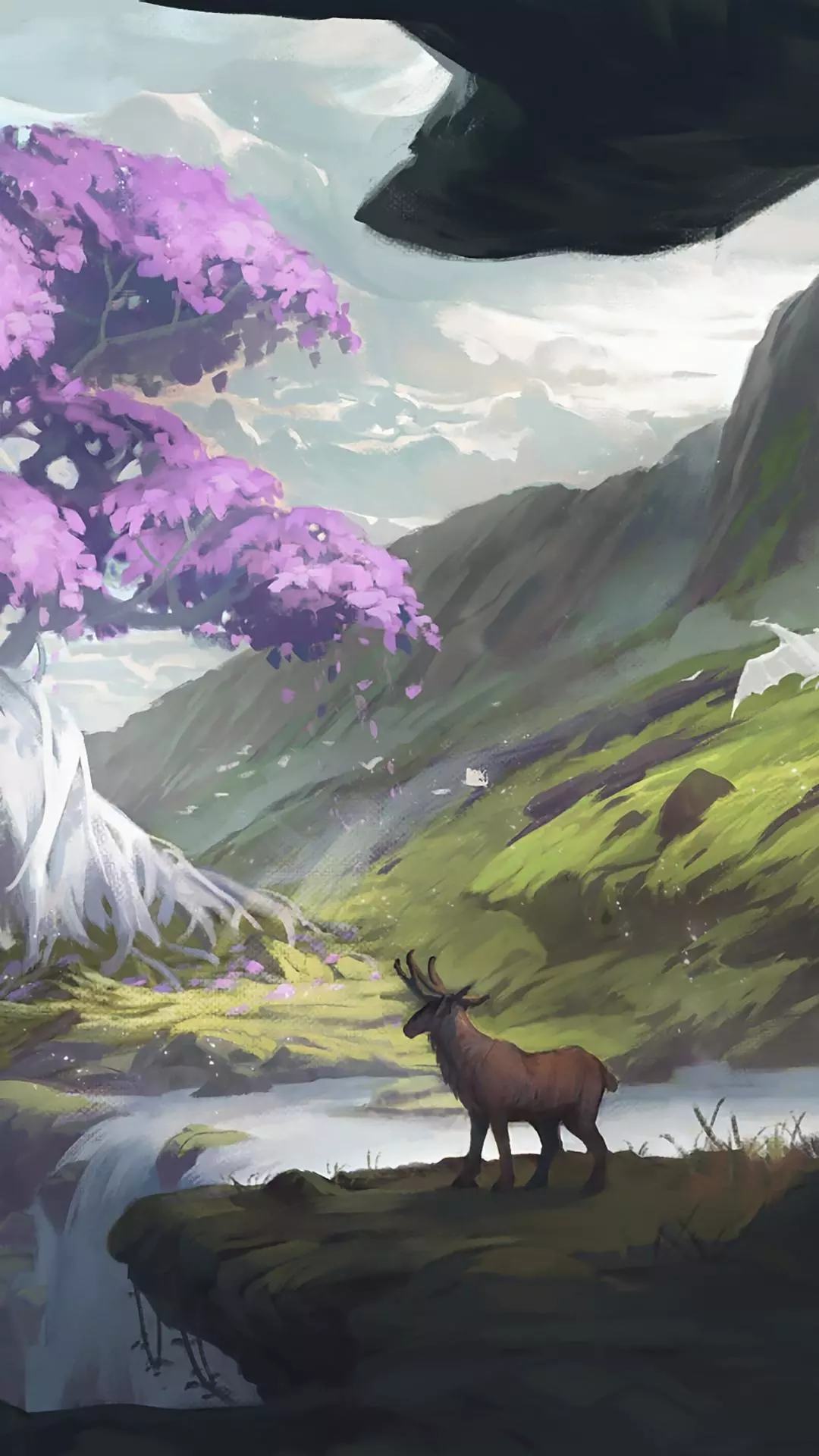 Wallpapers