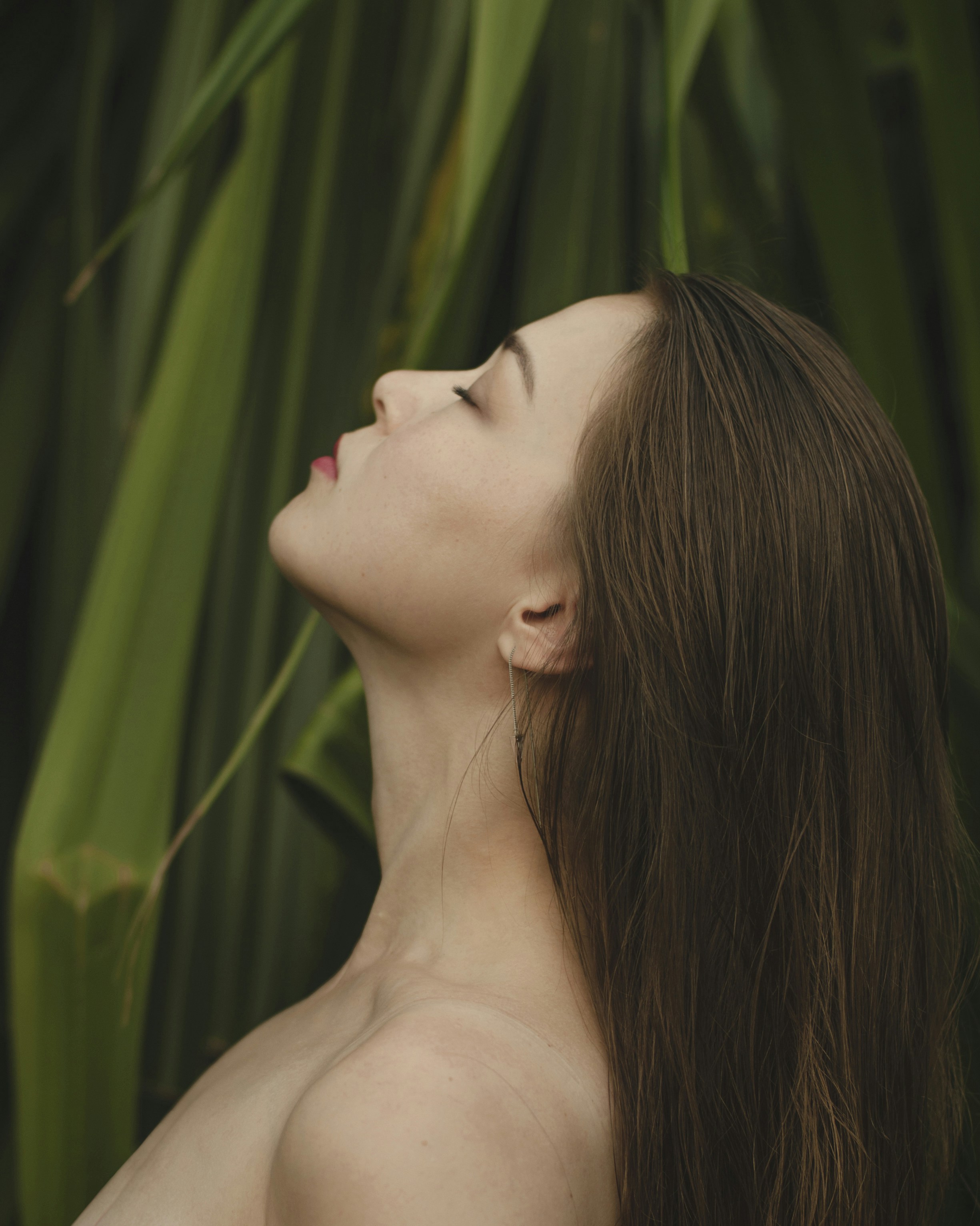 Forest & Flora