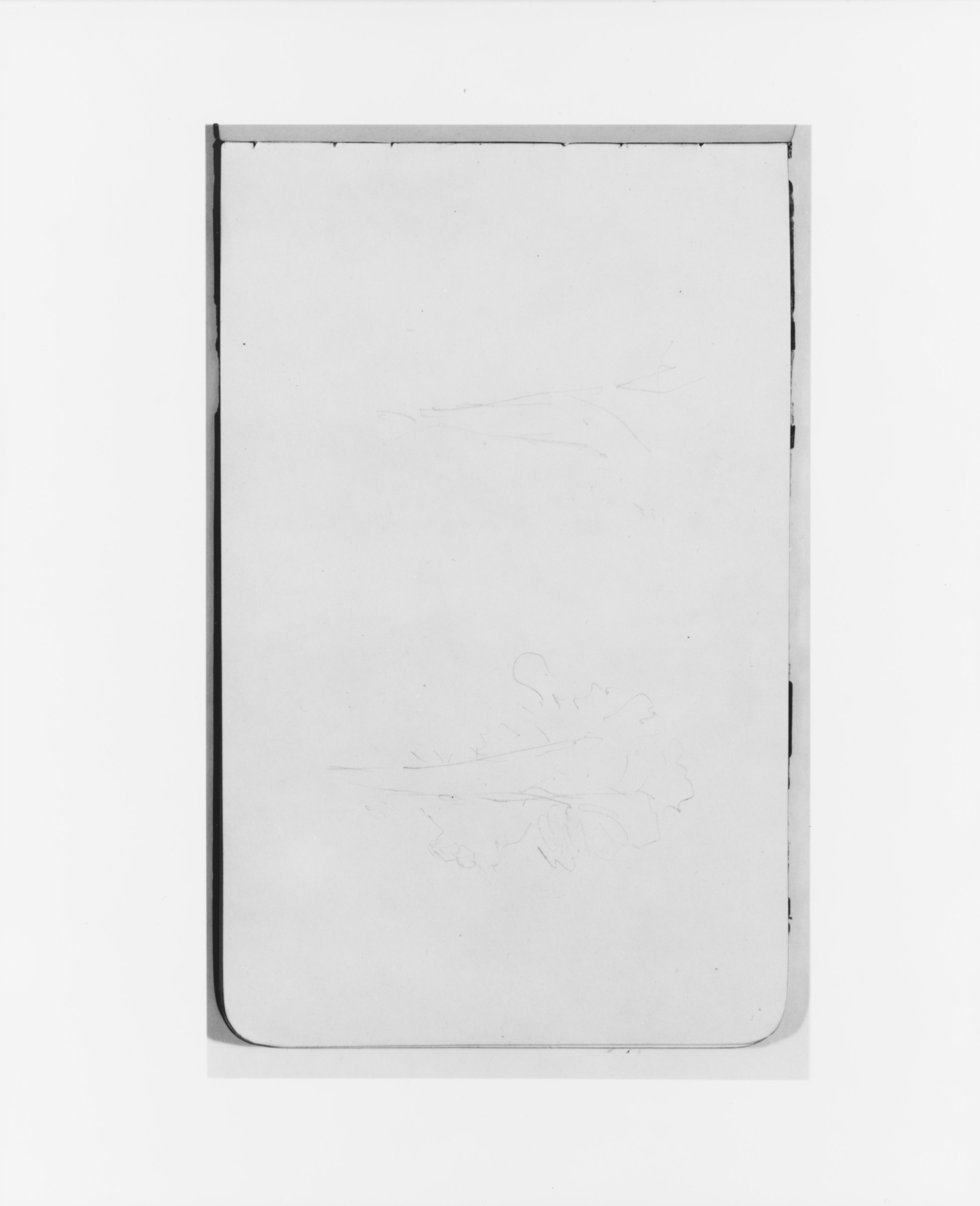 Faint Sketches on Blank Sketch Paper