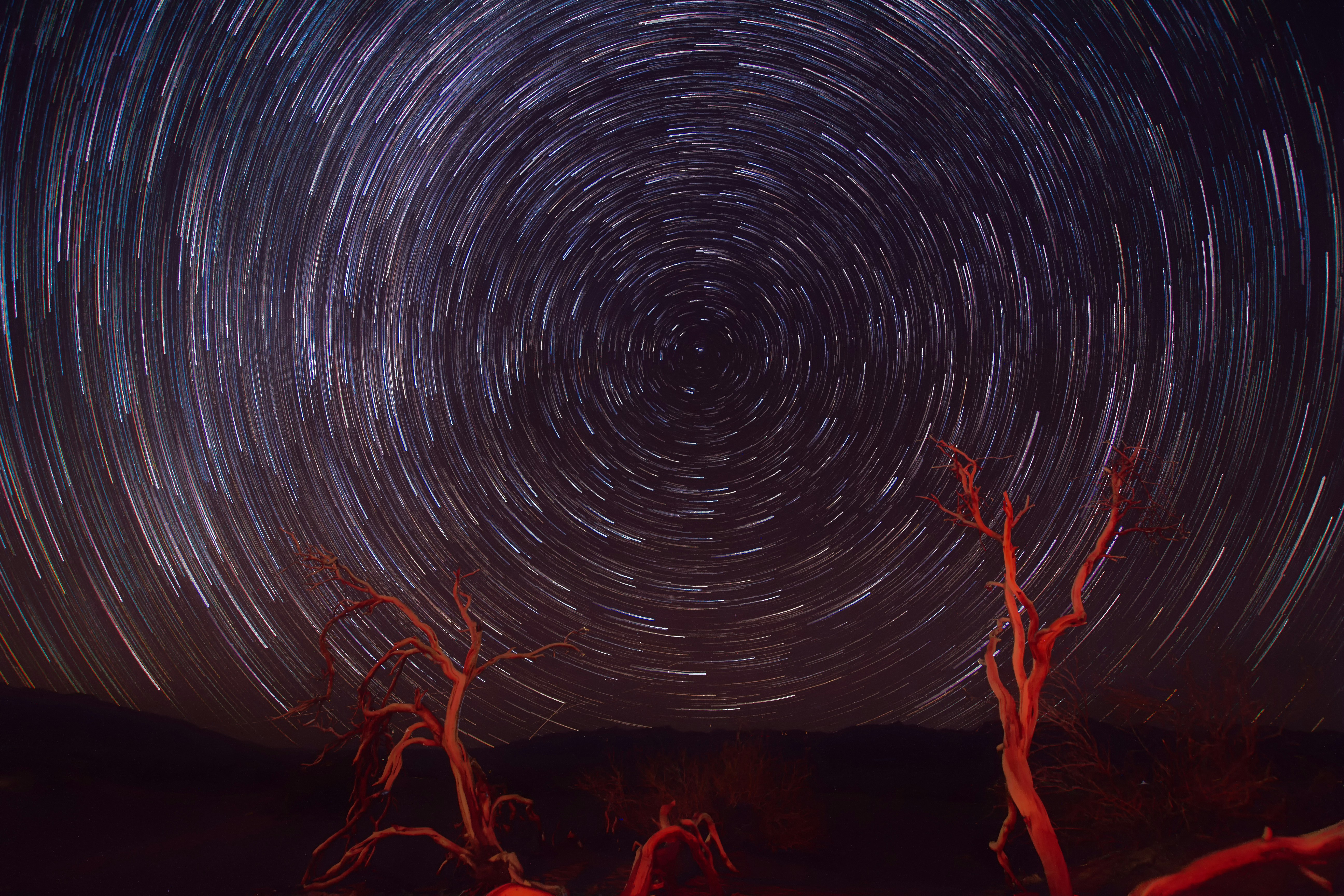 Circular Star Trails Over Dead Trees