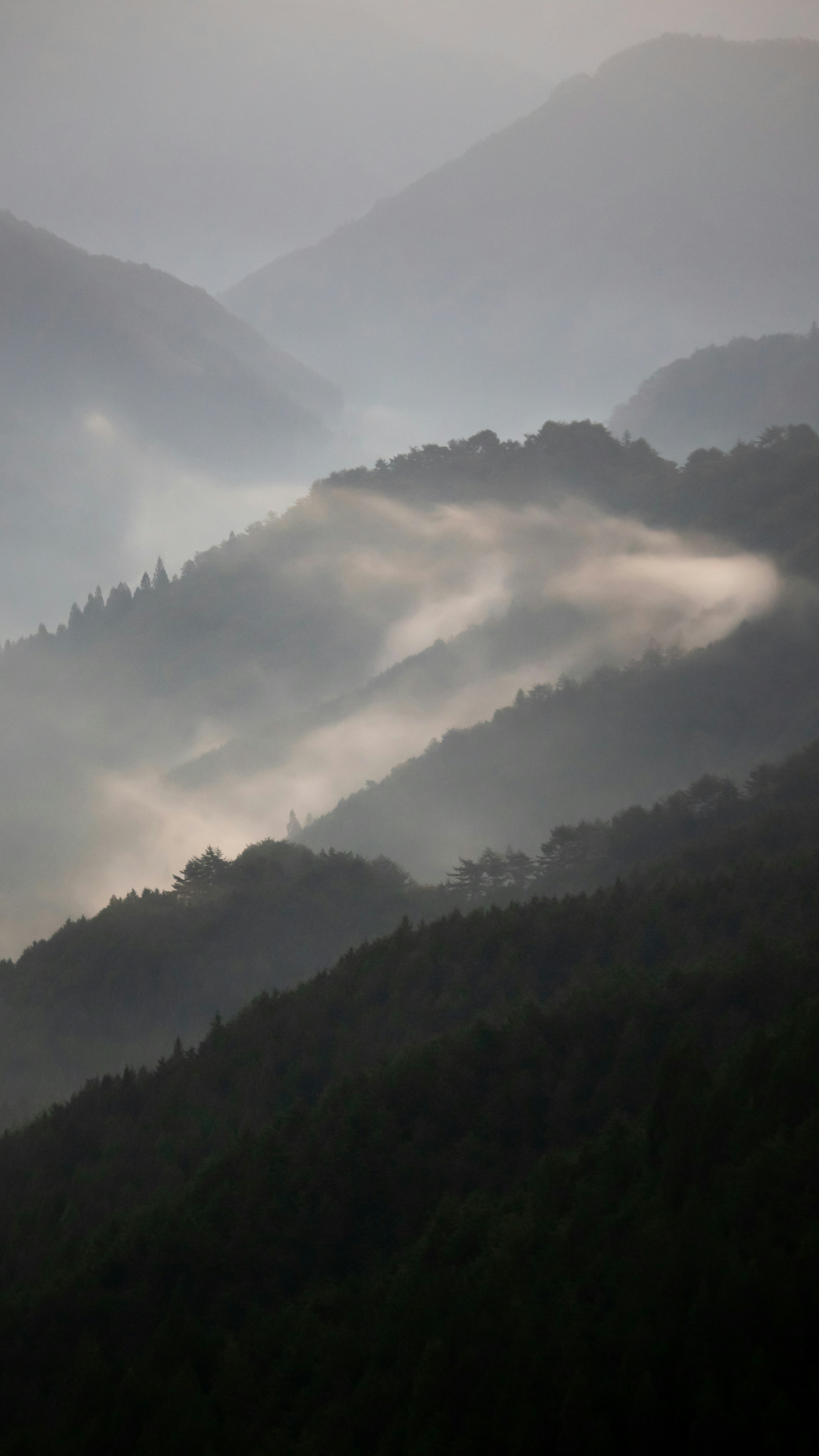Landscapes