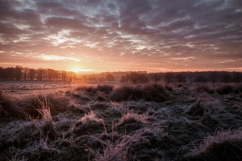 Frosty Meadow at Sunrise