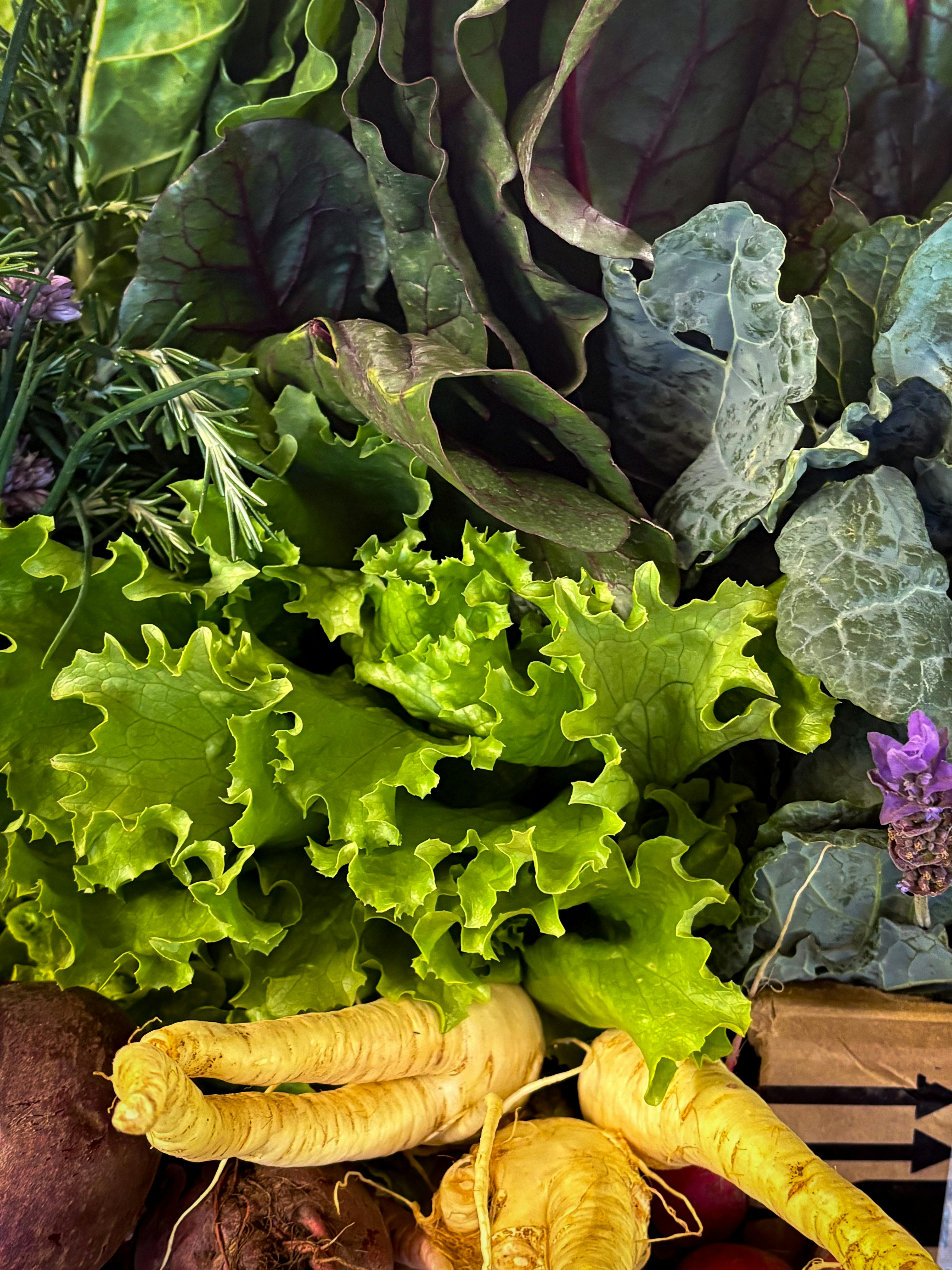 Assorted Fresh Farm Vegetables