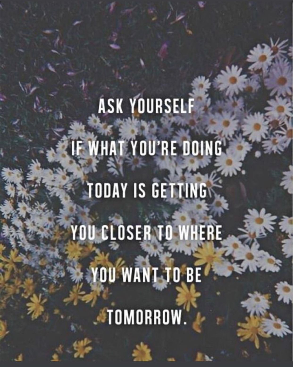 Motivational Quote on Daisy Flower Background
