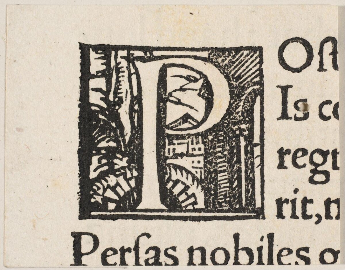 Woodcut Decorated Initial P on Old Print