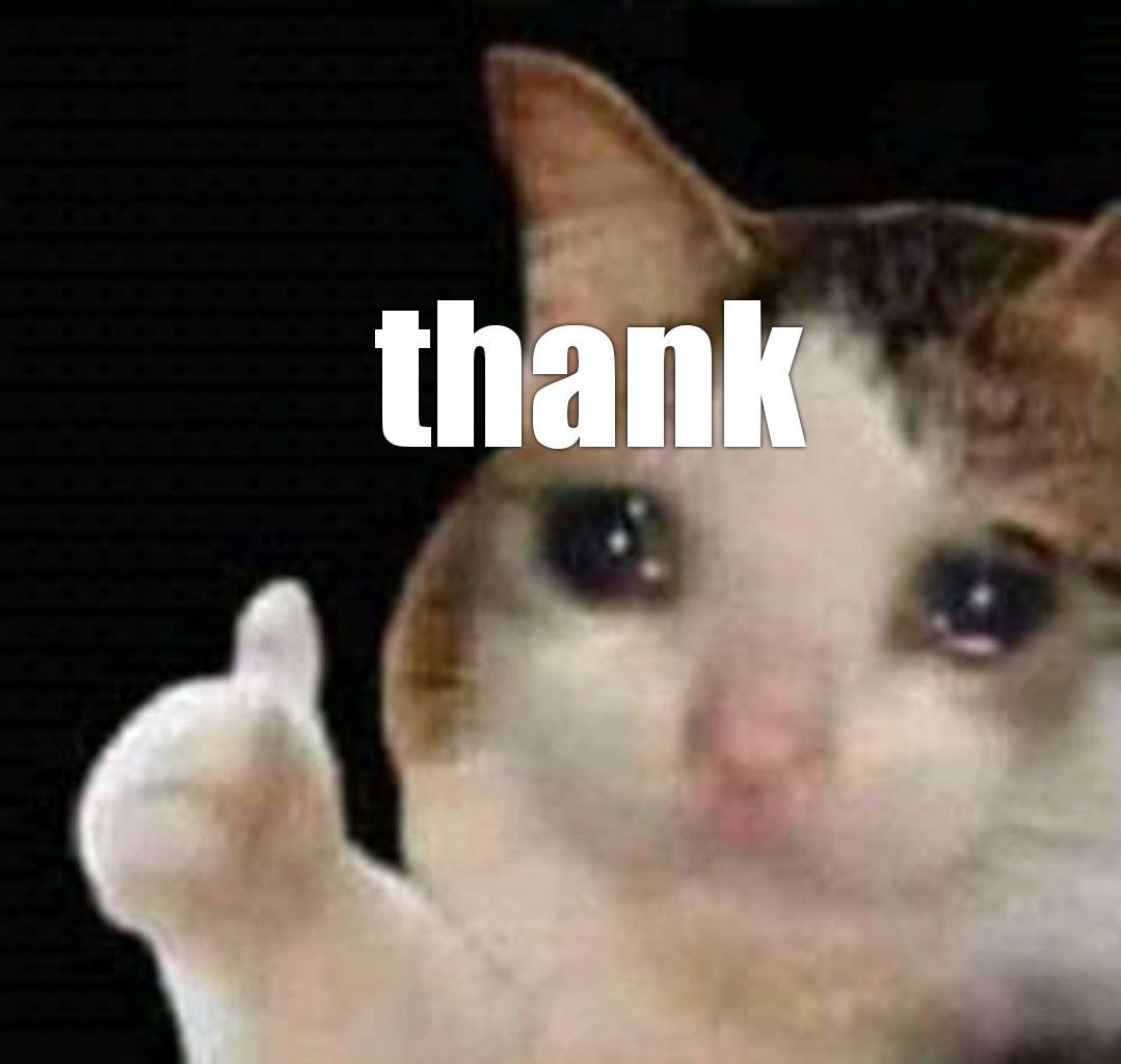 Crying Cat Thumbs Up Thank Meme