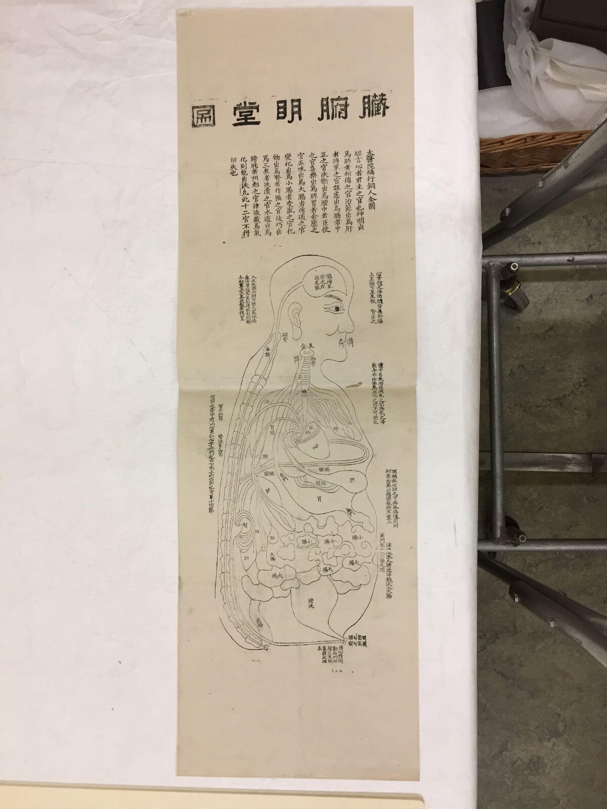 Ancient TCM Viscera Mingtang Diagram