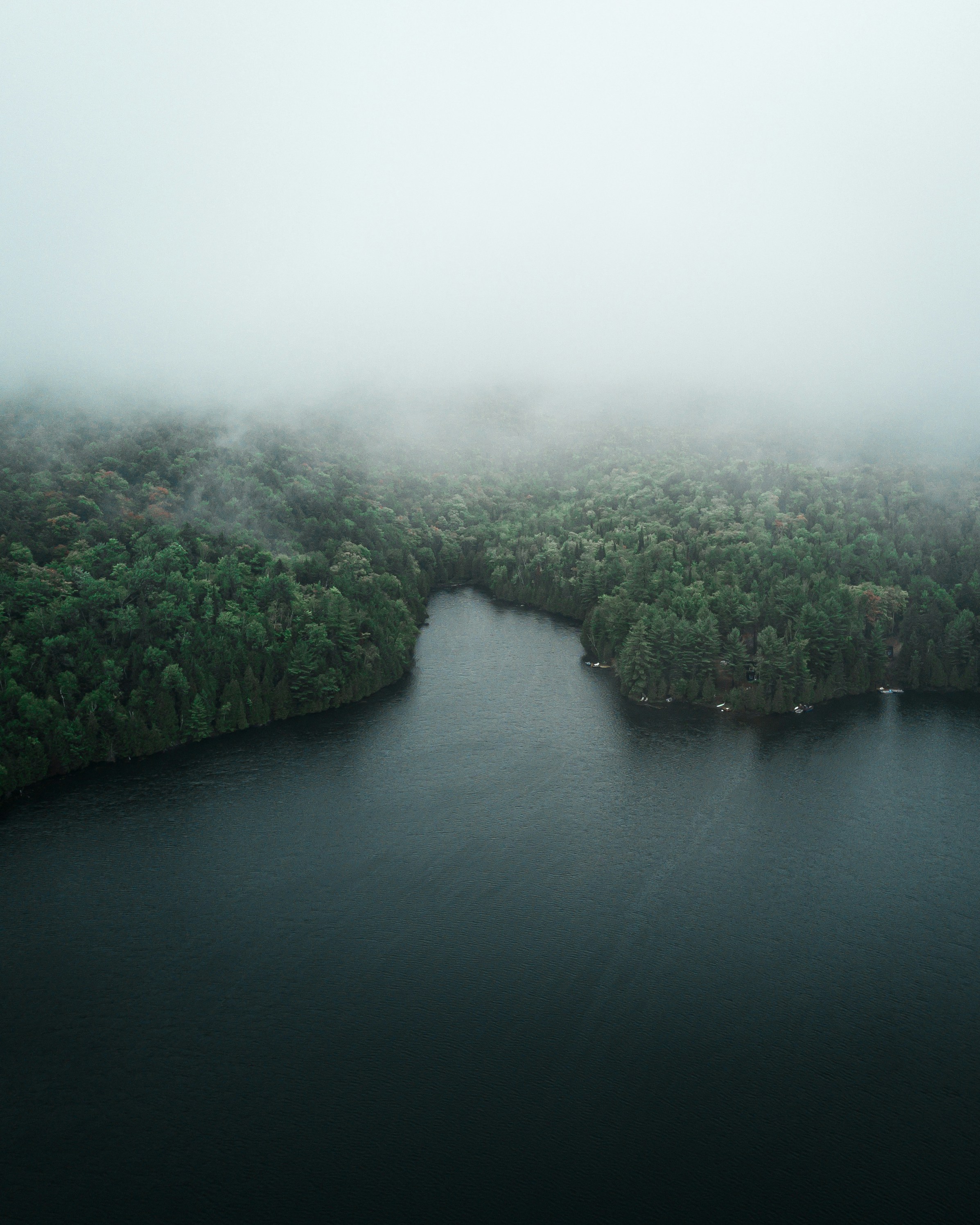 Misty Forested River Bend