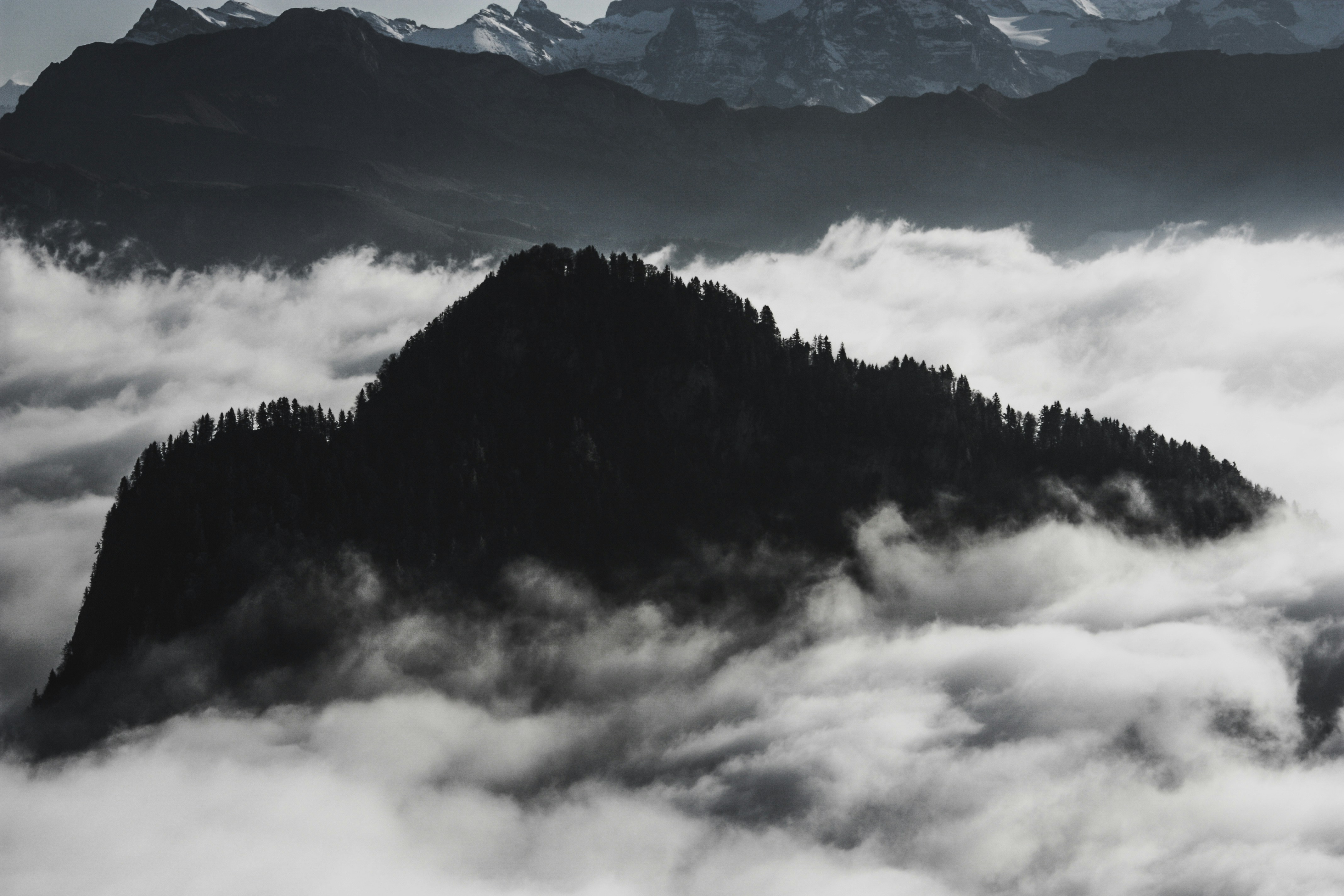 Forested Peak Above Sea of Clouds