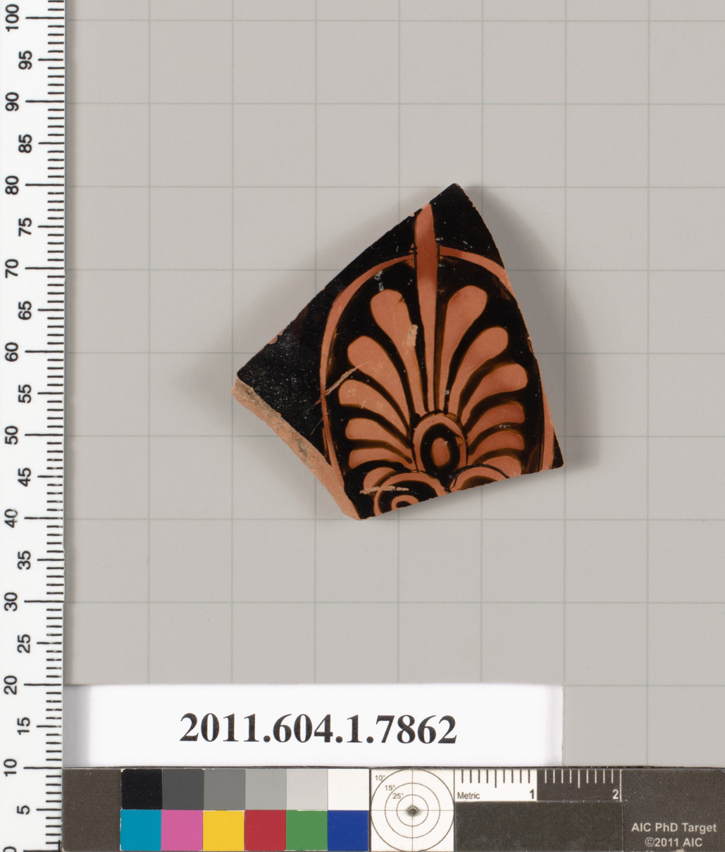 Ancient Terracotta Pottery Fragment