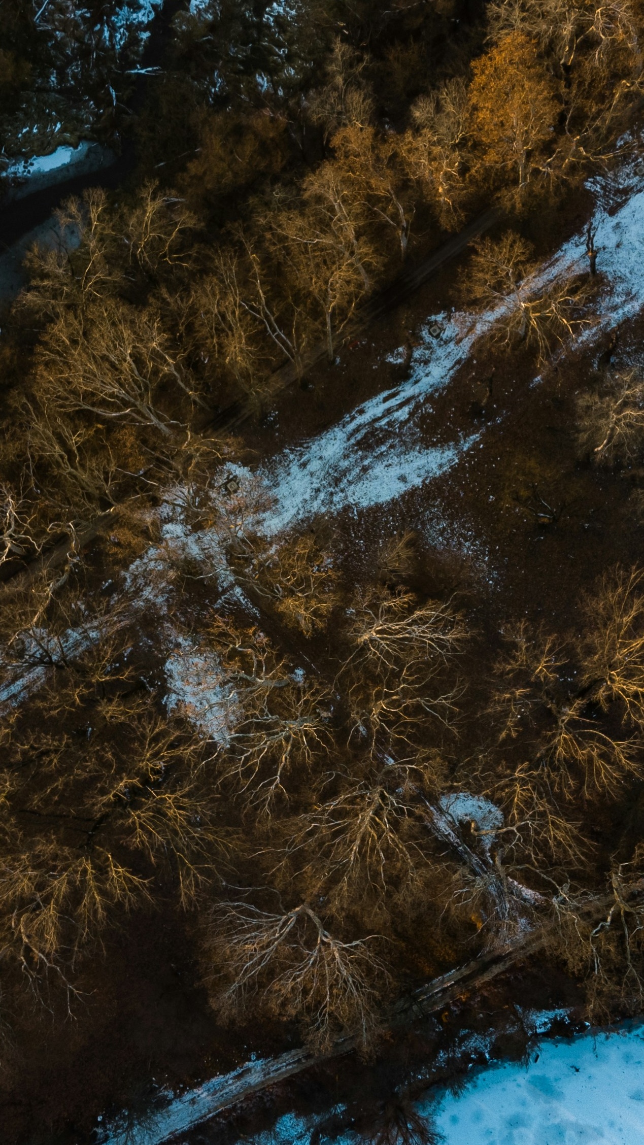 Aerial Winter Forest with Snow Patches