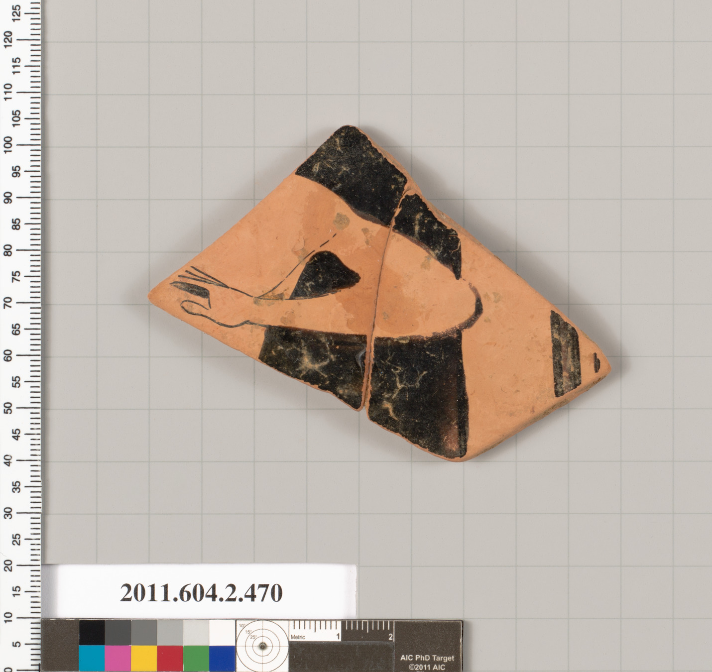 Ancient Terracotta Pottery Fragment
