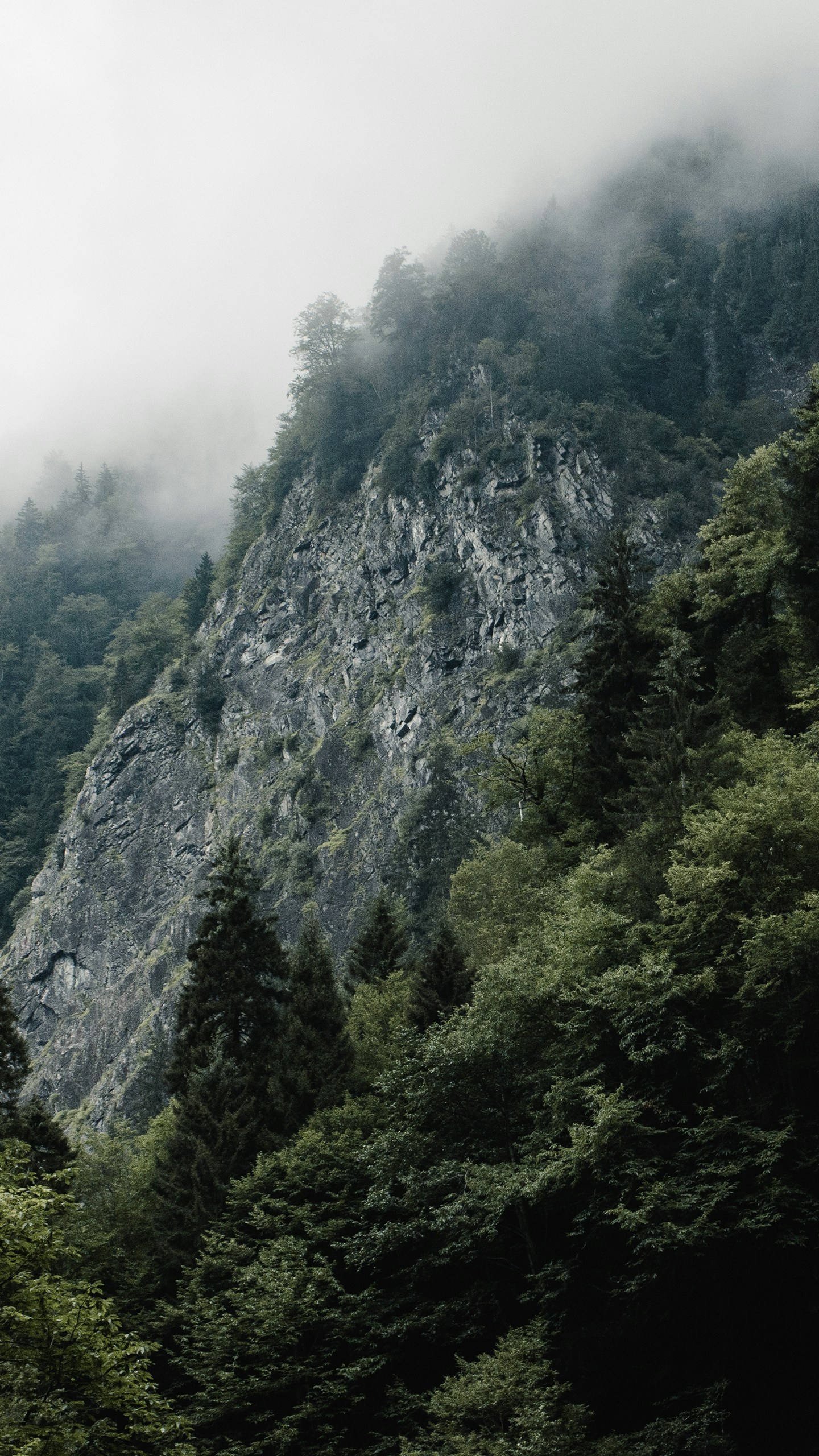 Wallpapers