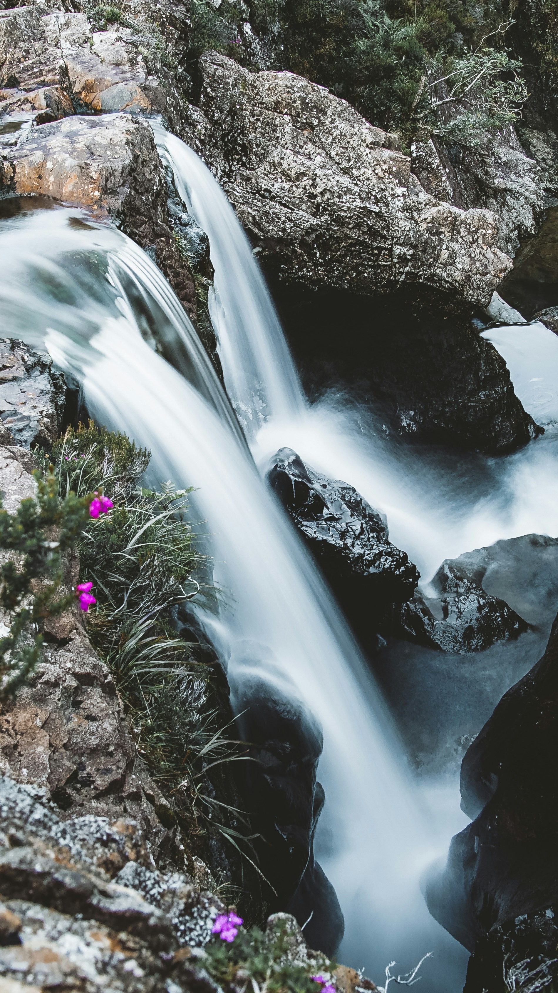 Wallpapers