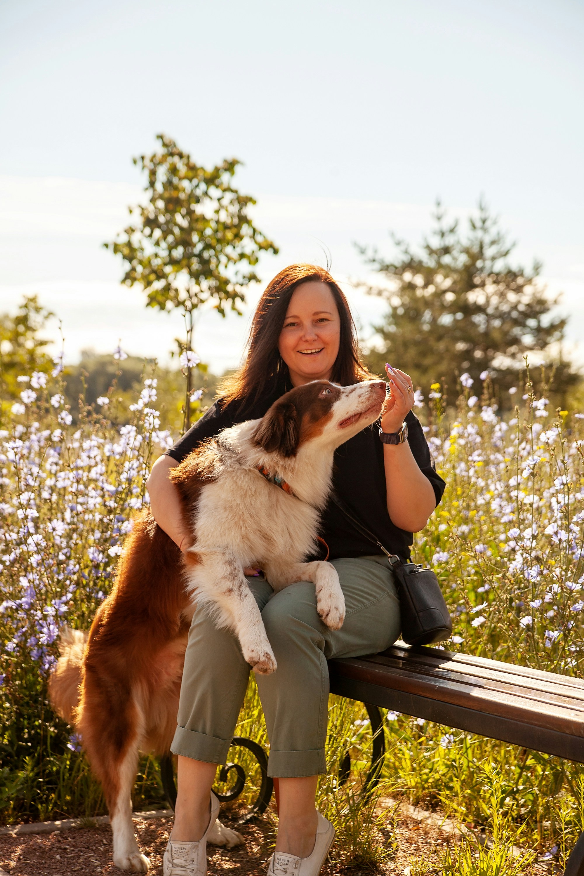 Woman With Dog On Park Bench
