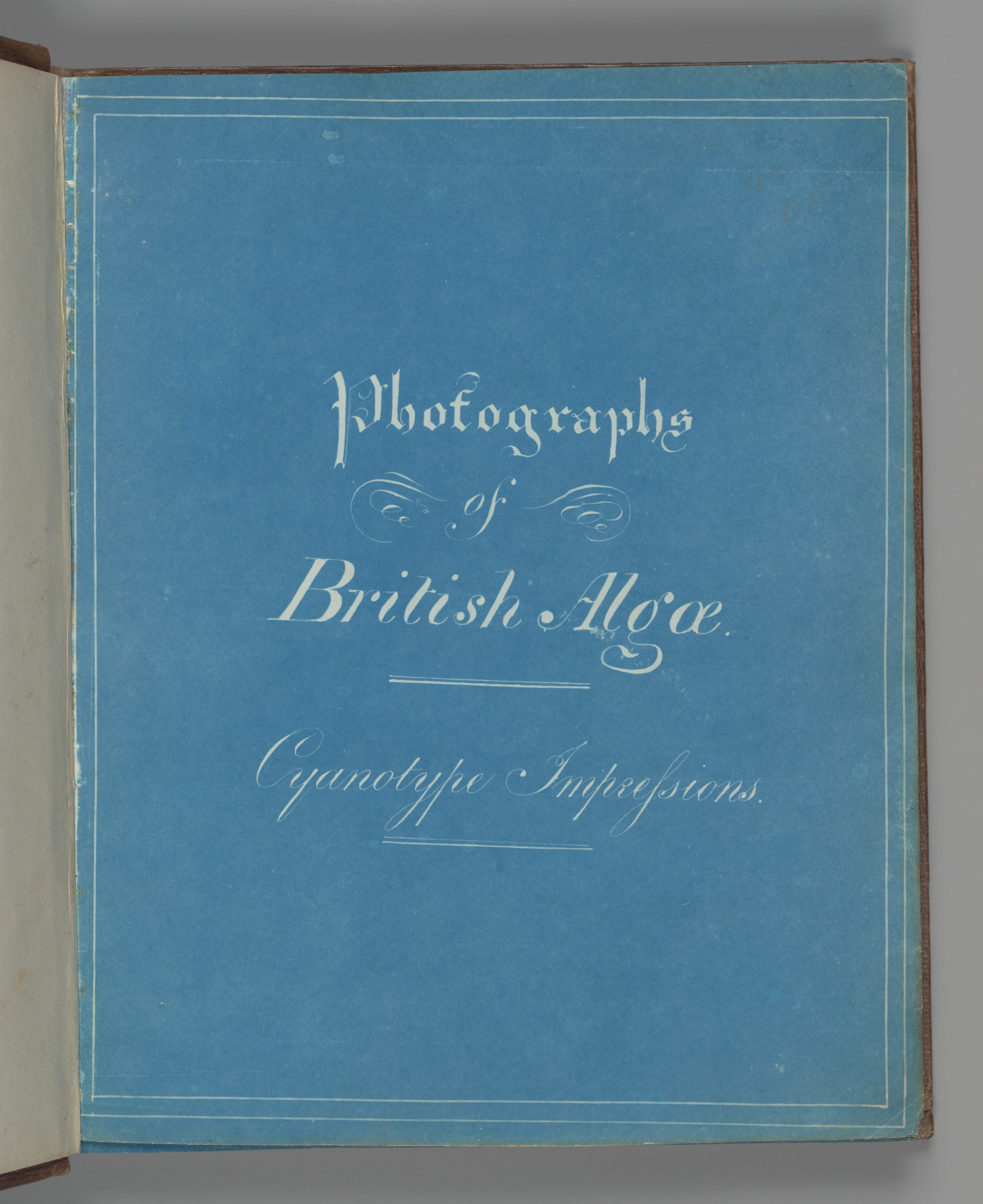 British Algae Cyanotype Album Title Page