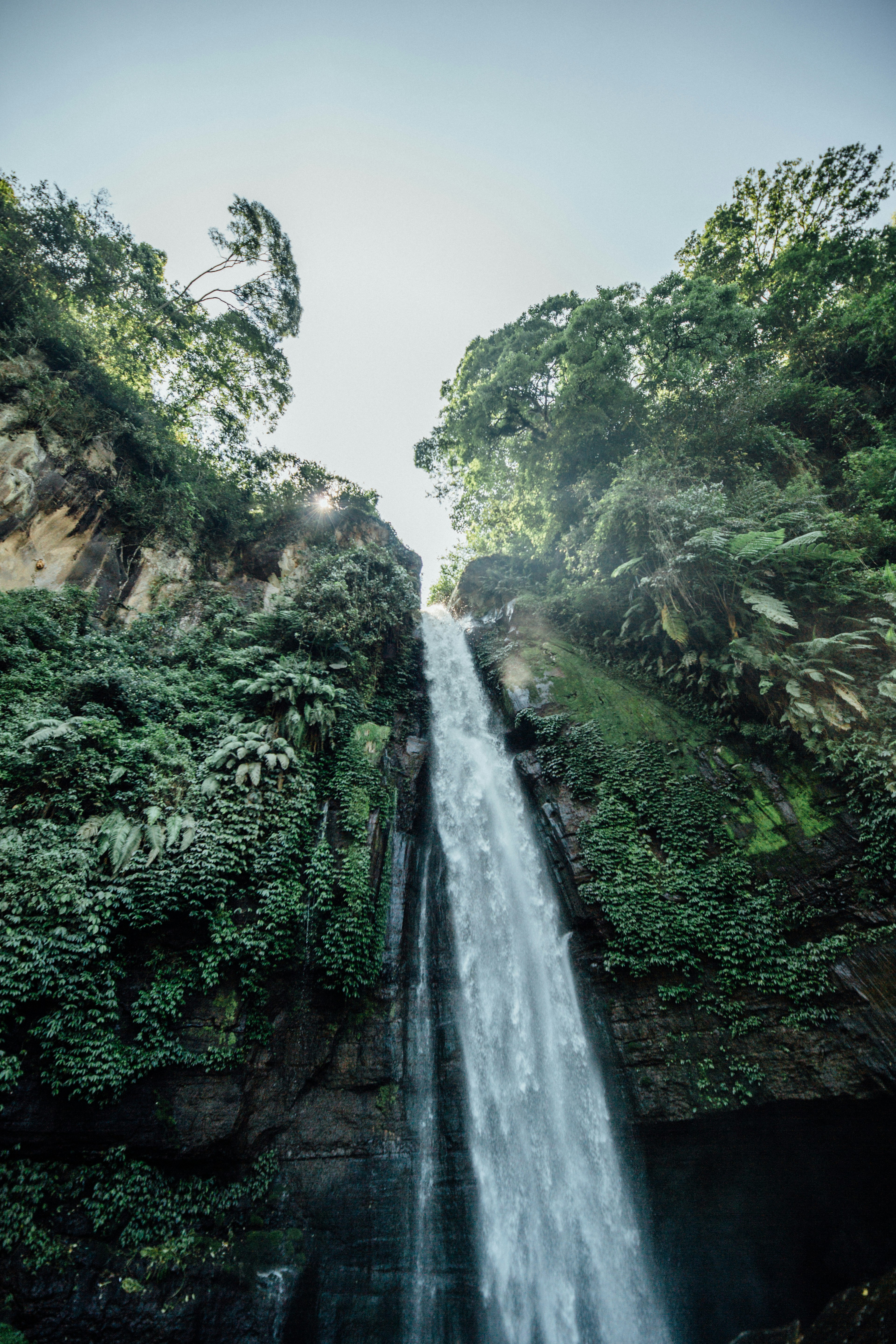 Lush Forest Hidden Waterfall