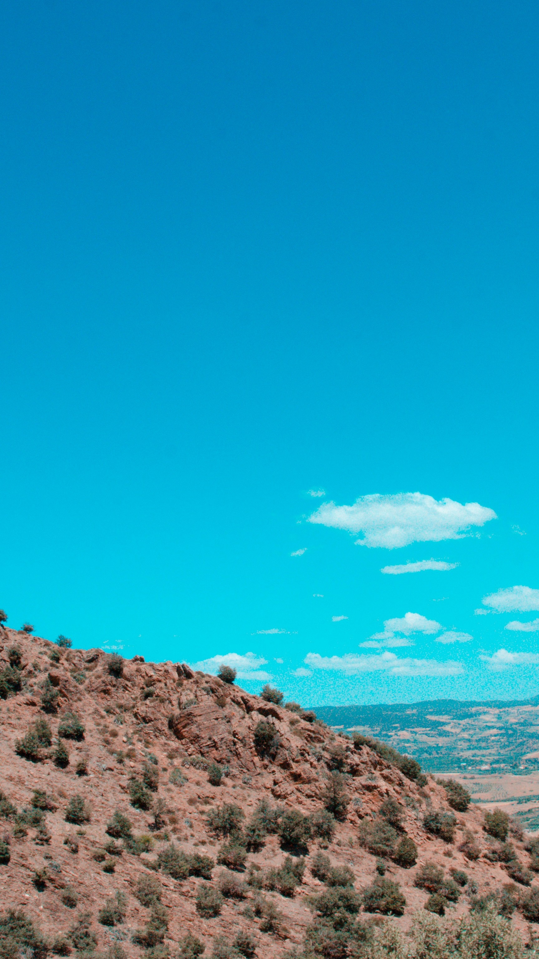 Wallpapers