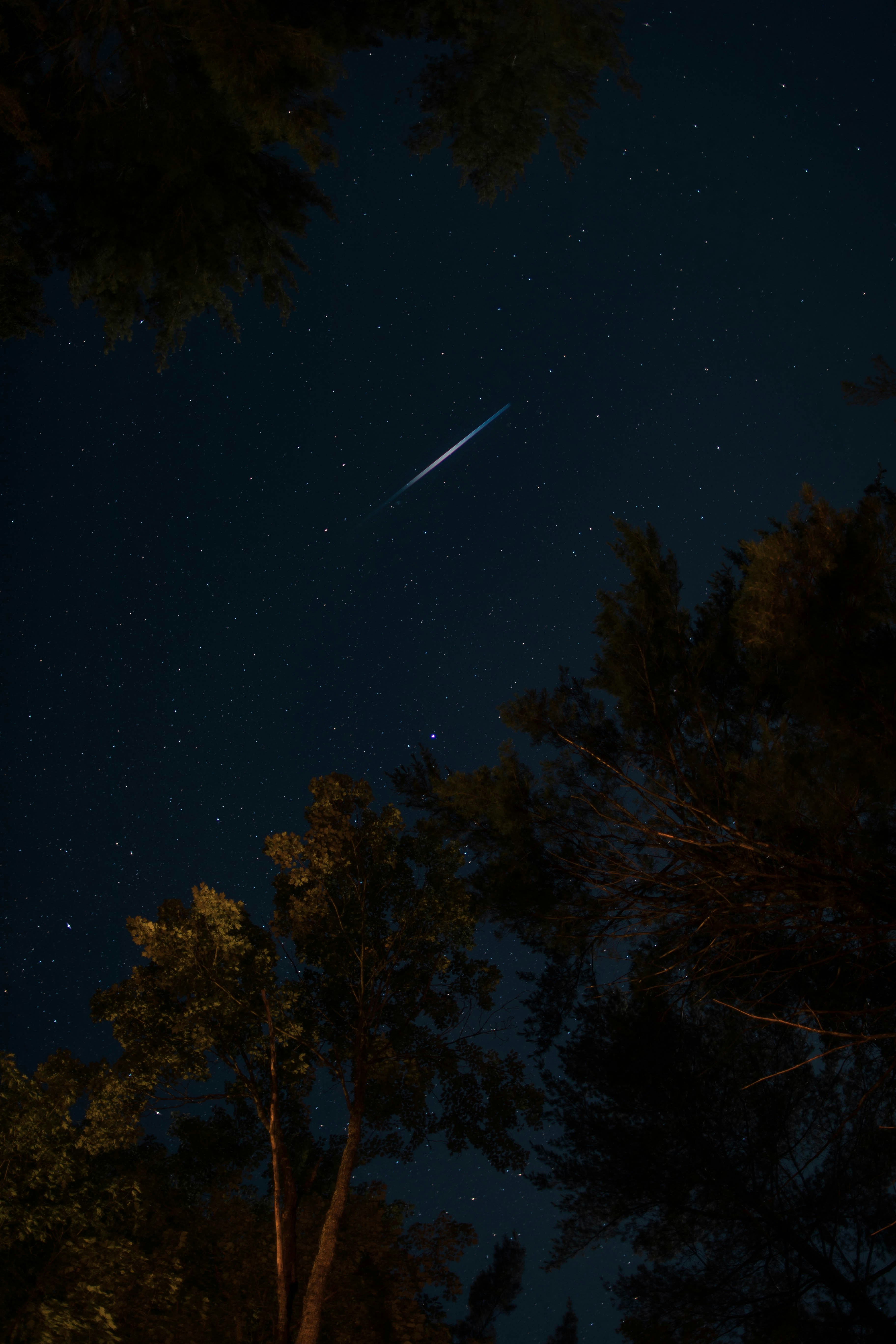 Meteor Streak Over Forest Night Sky