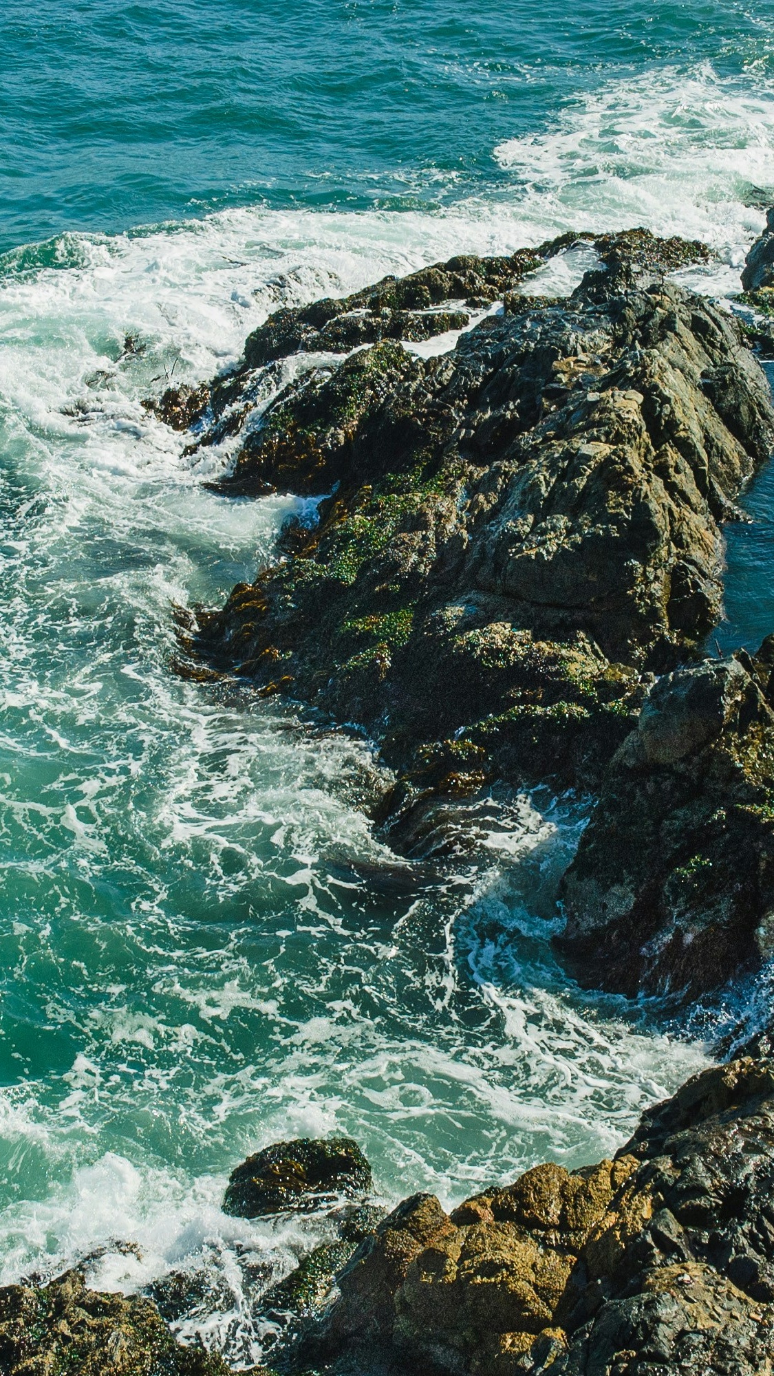 Wallpapers