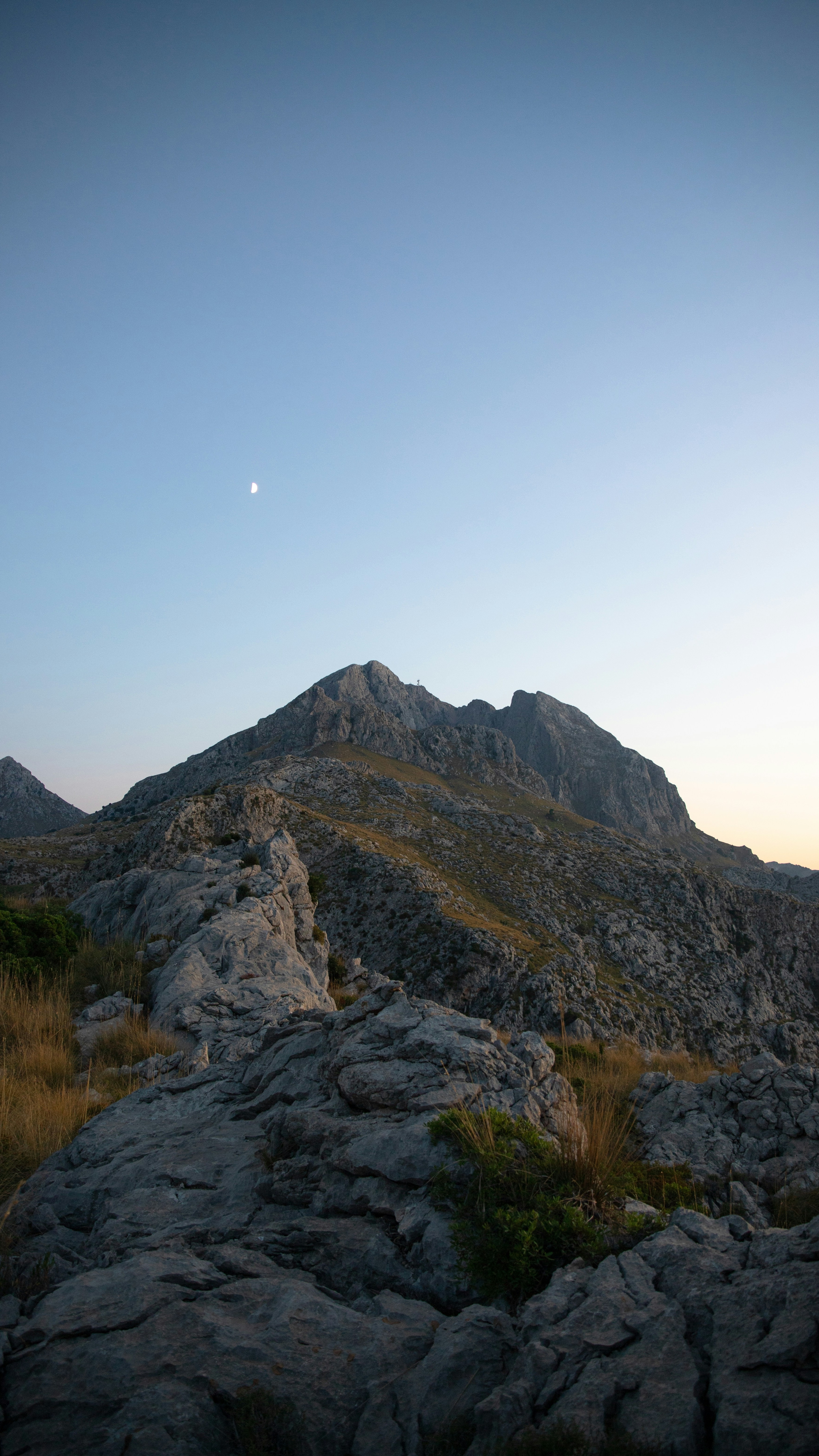Image 1577603 — Nature