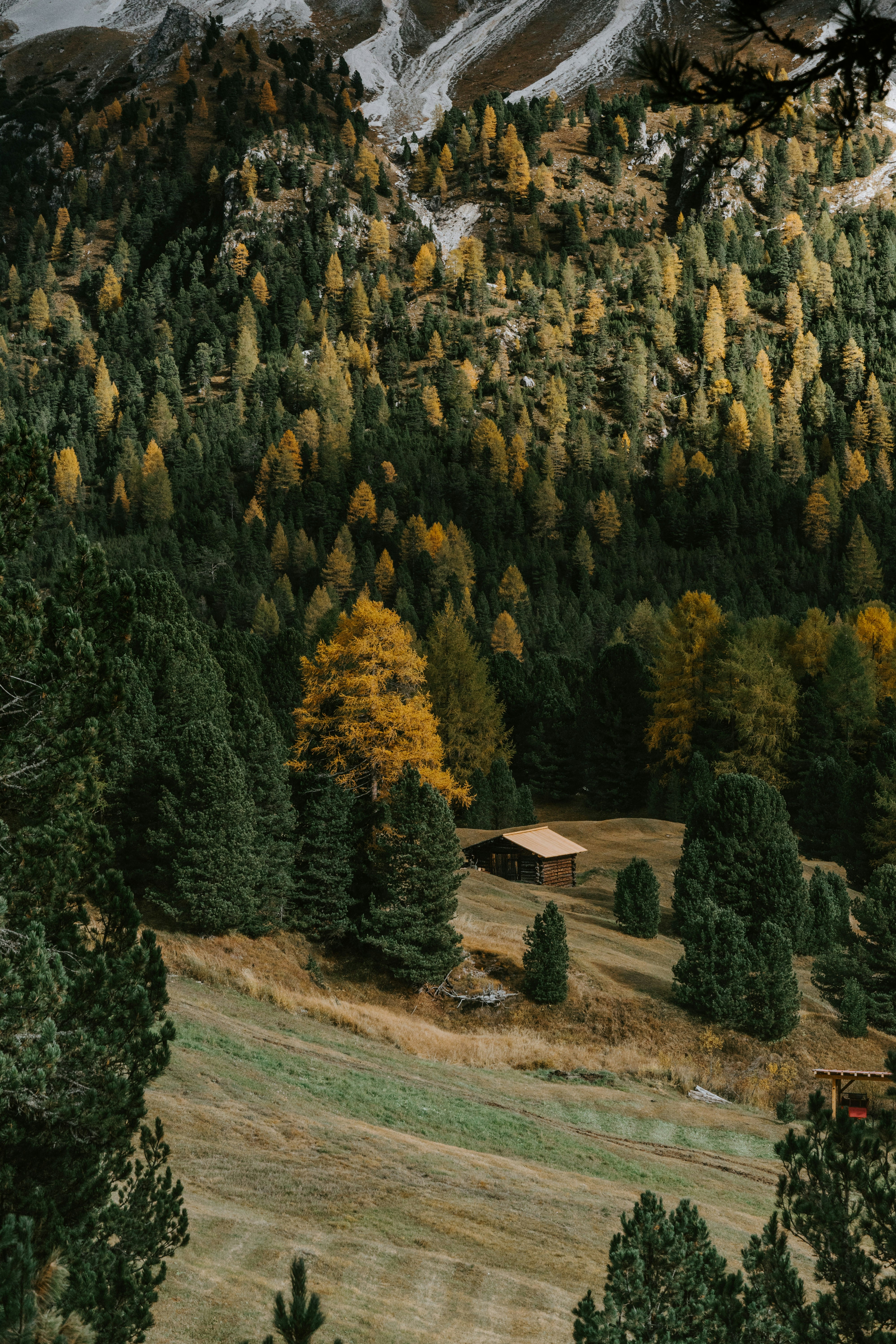Cabin in Autumn Mountain Forest