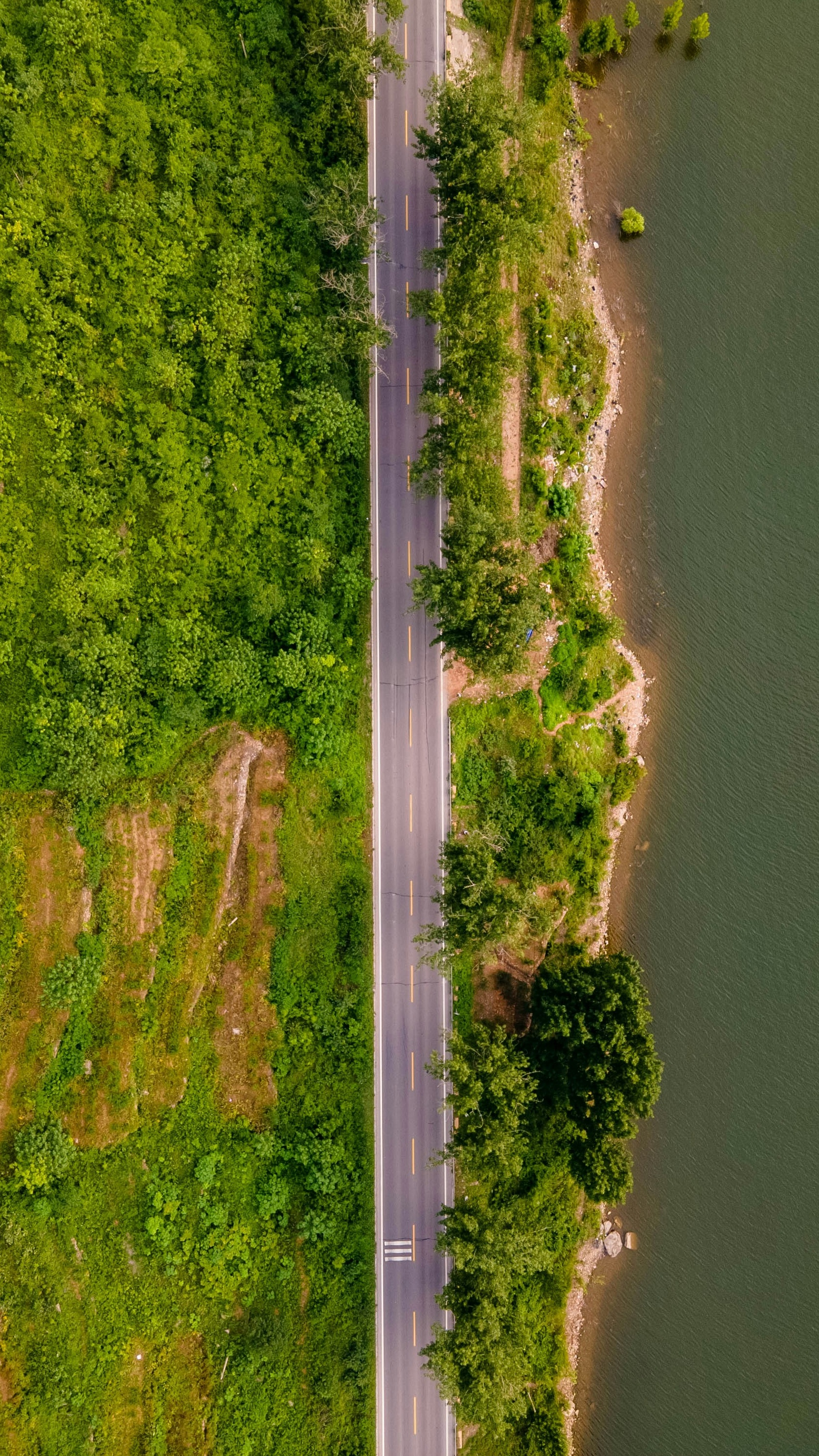 Wallpapers