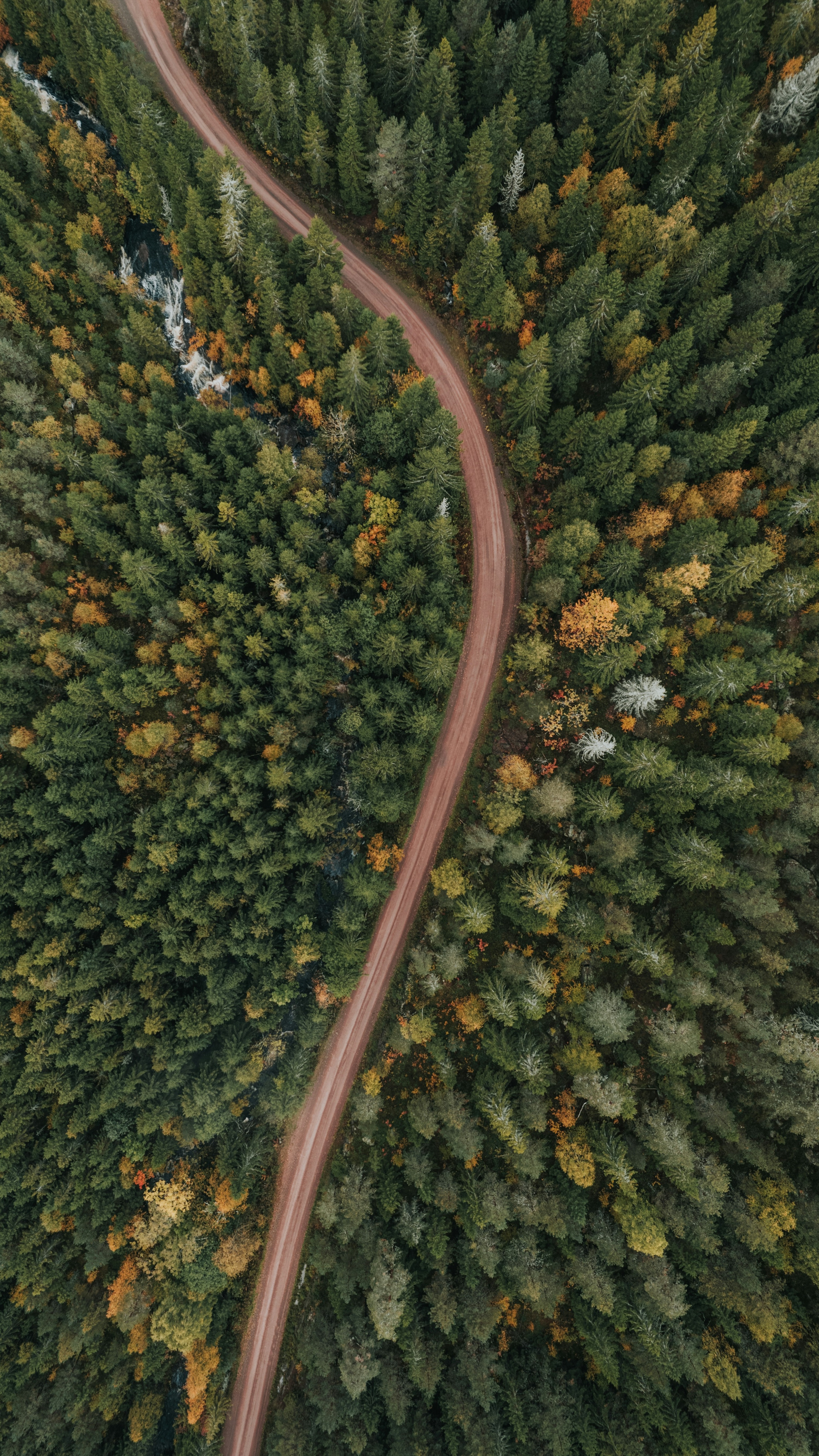 Wallpapers
