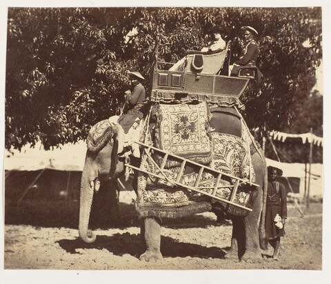 Decorated Elephant Carrying Passengers