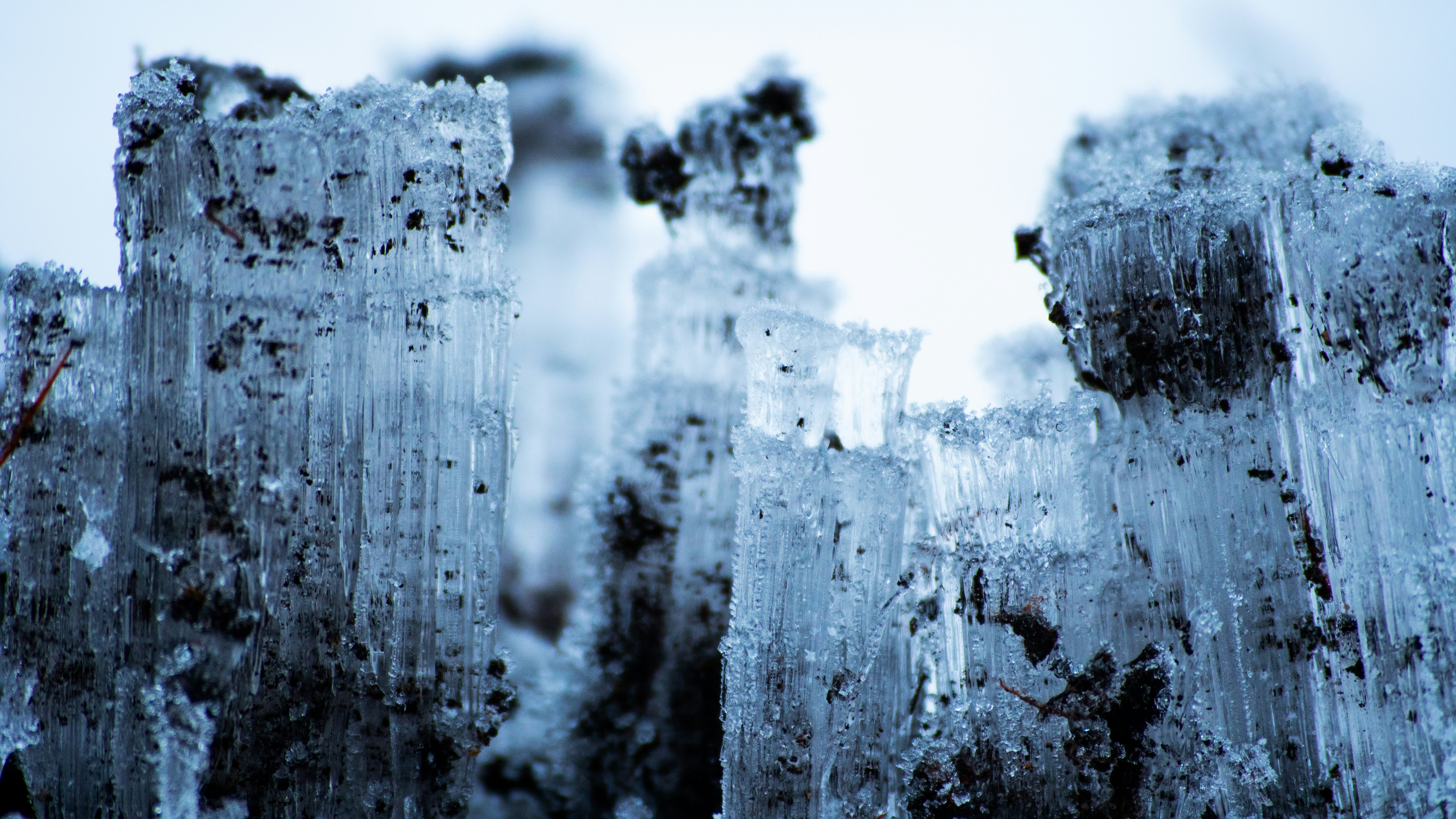 Close-up of Frozen Ice Columns