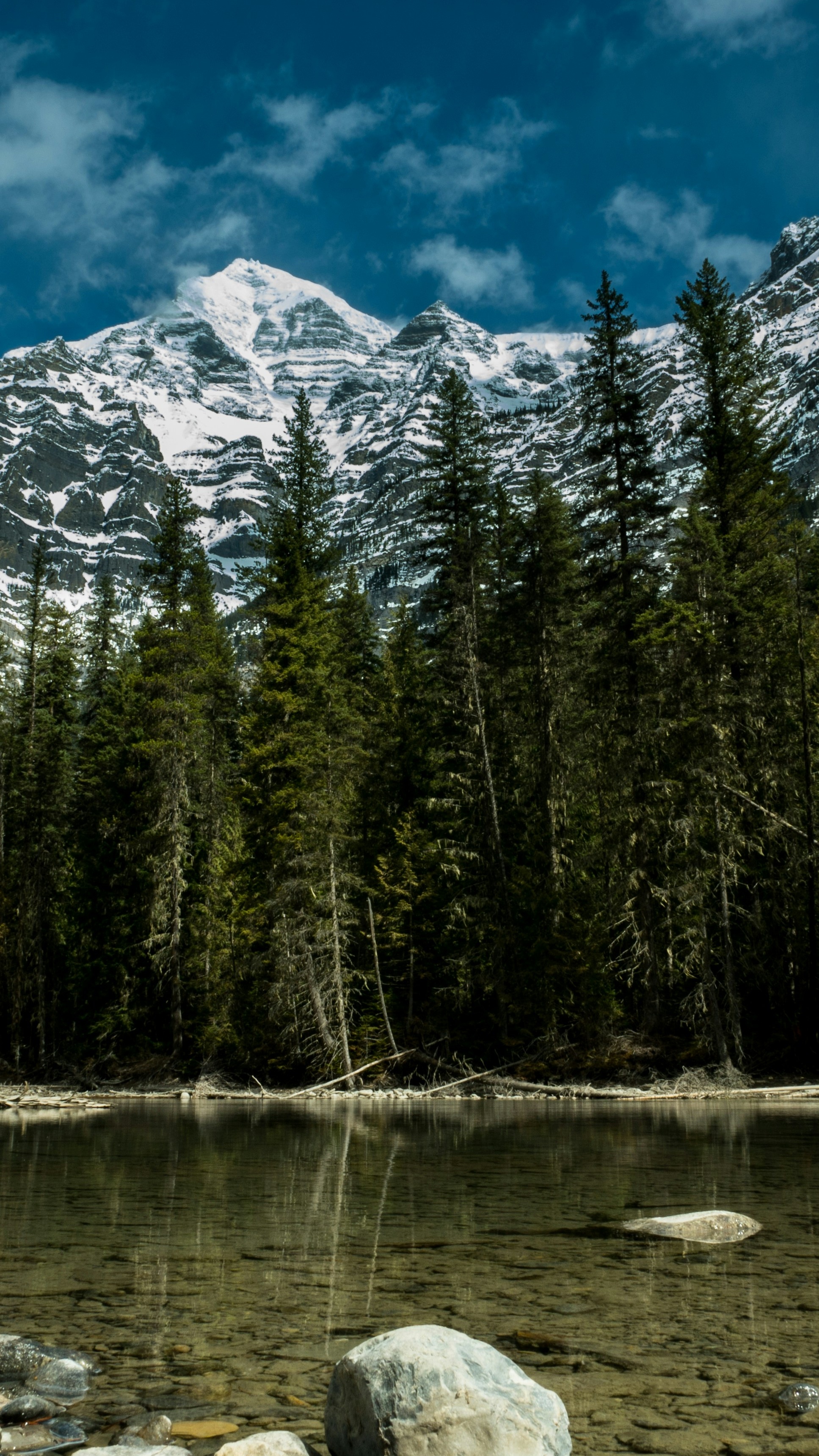 Wallpapers