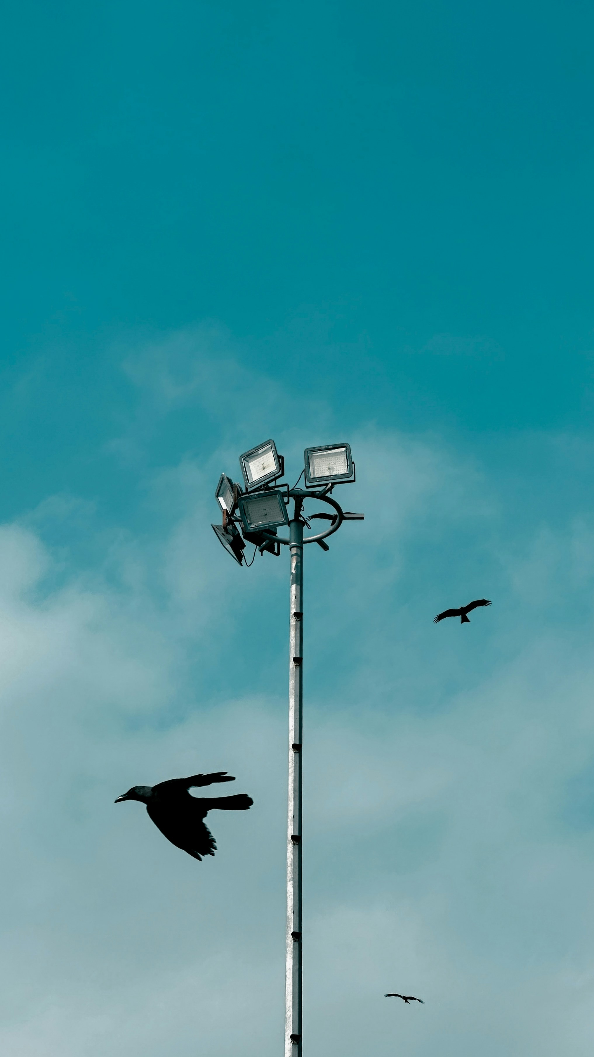 Wallpapers