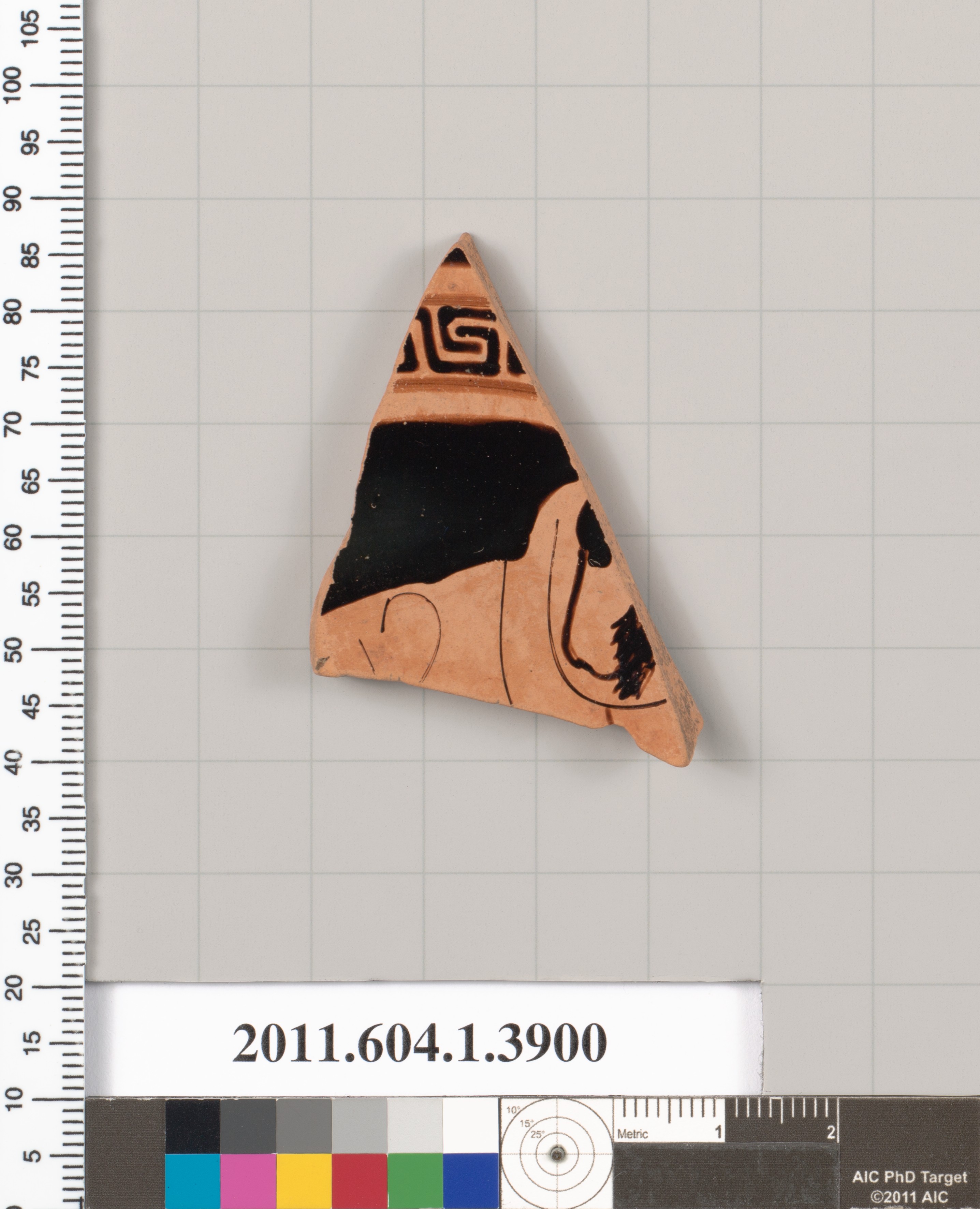 Ancient Pottery Fragment Specimen