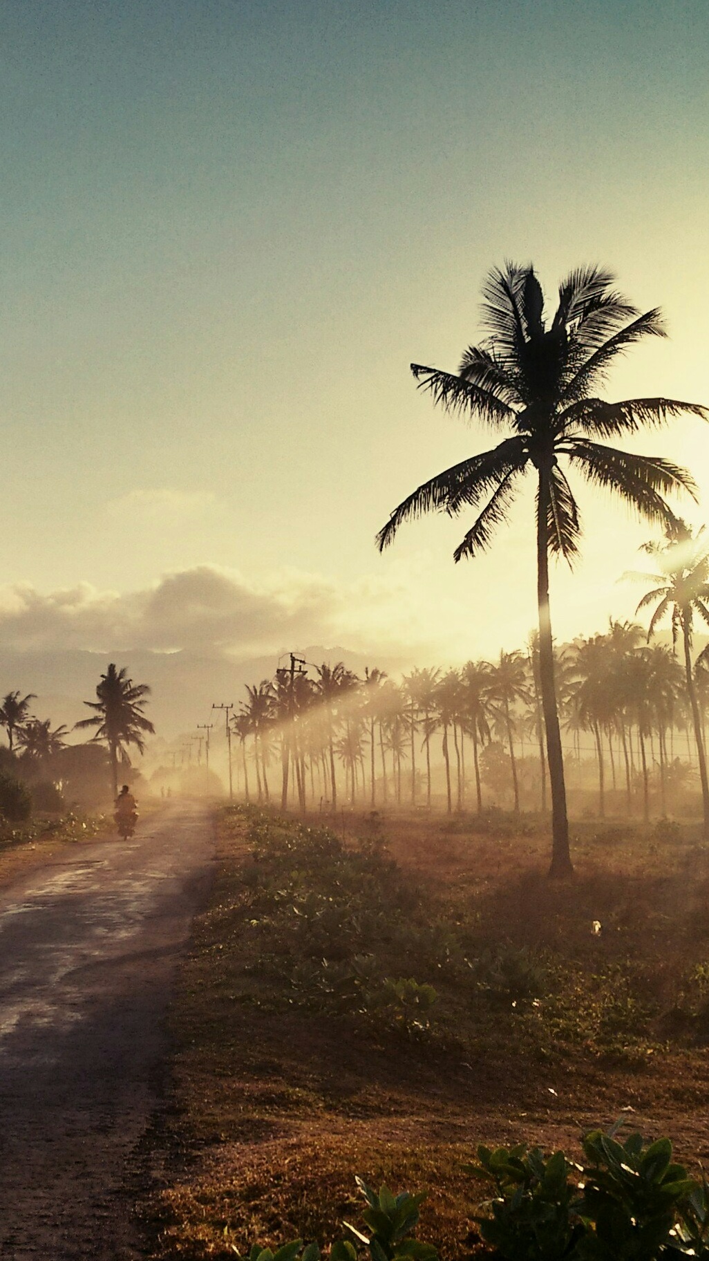 Wallpapers
