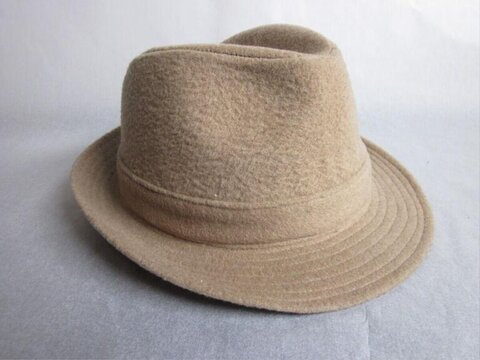 Beige Wool Fedora Hat