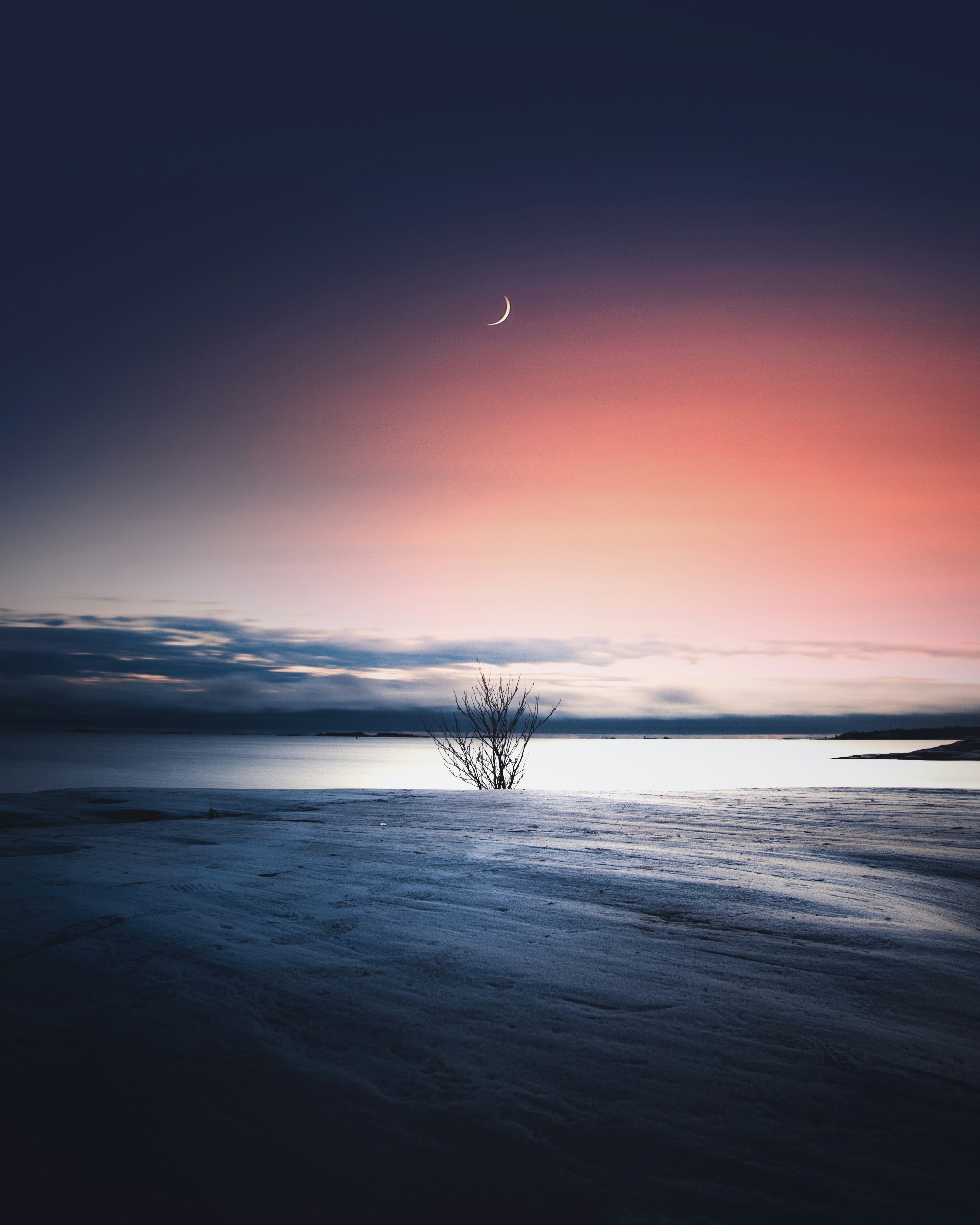 Crescent Moon Over Winter Lakeshore
